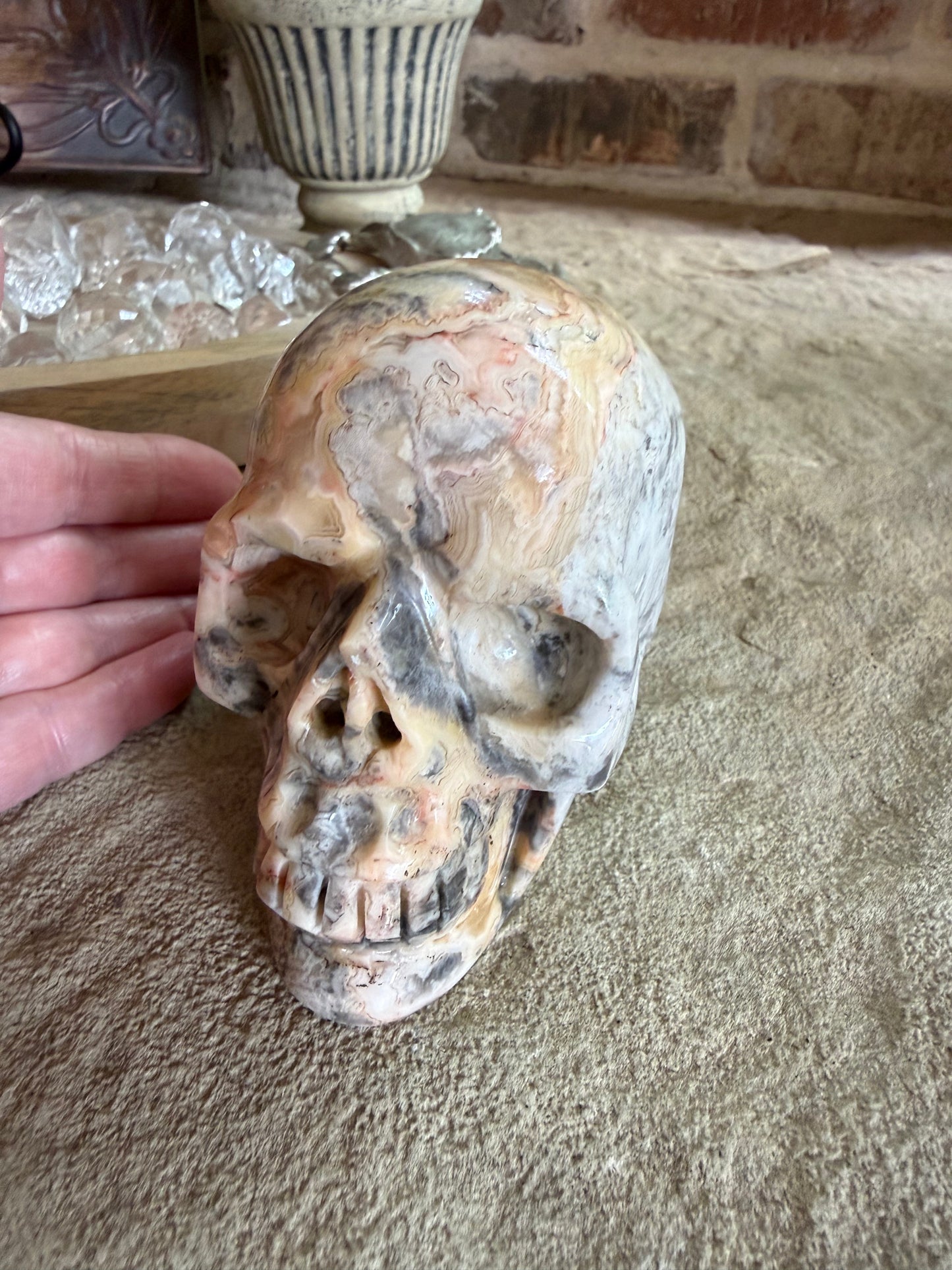 Crazy Lace Agate 4” Skull, rare authentic carving, high vibration