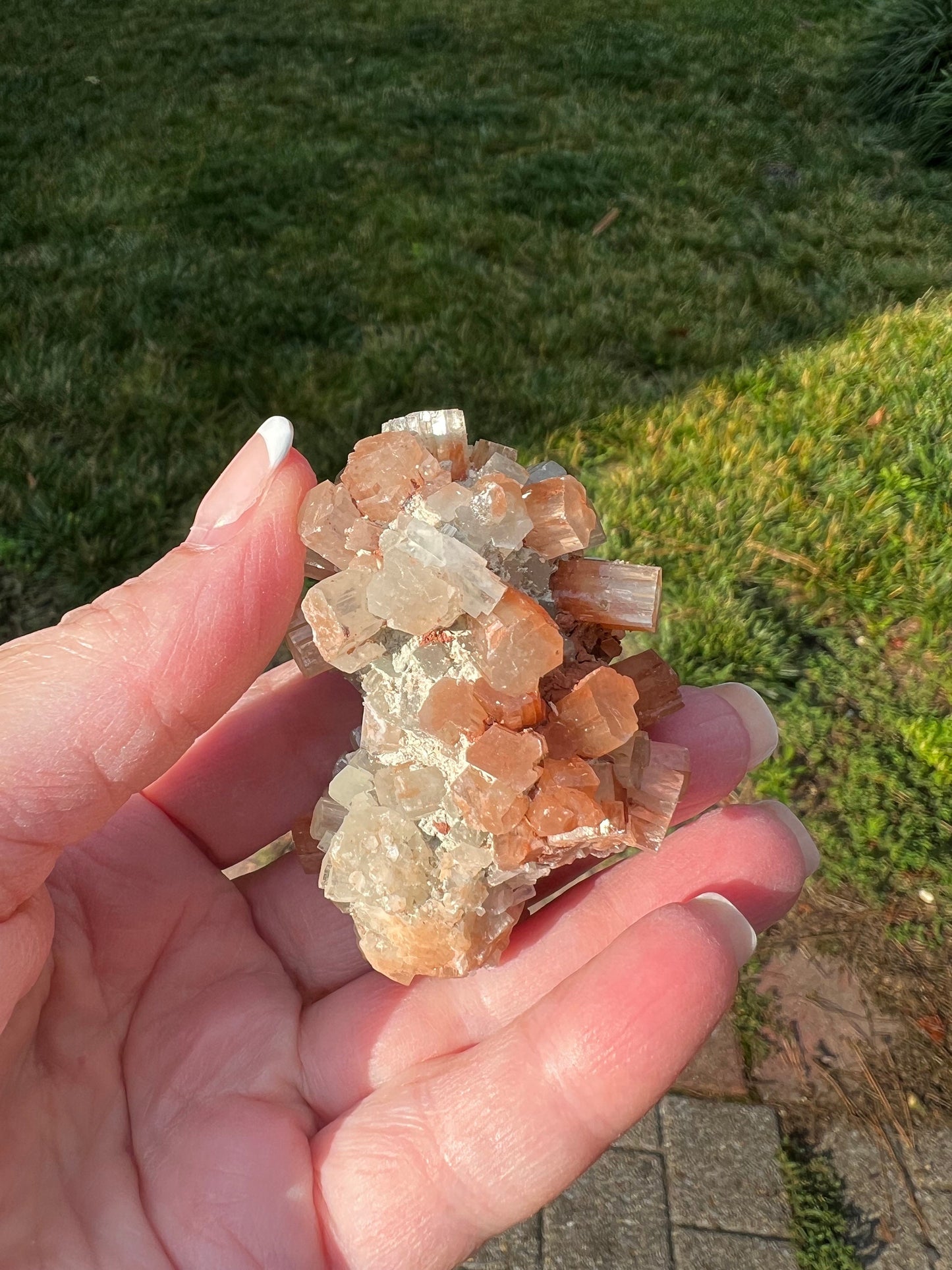 Sparkly Aragonite Raw Palm Stone, New, High Grade, essential grounding crystal, high vibration crystals healing, altar