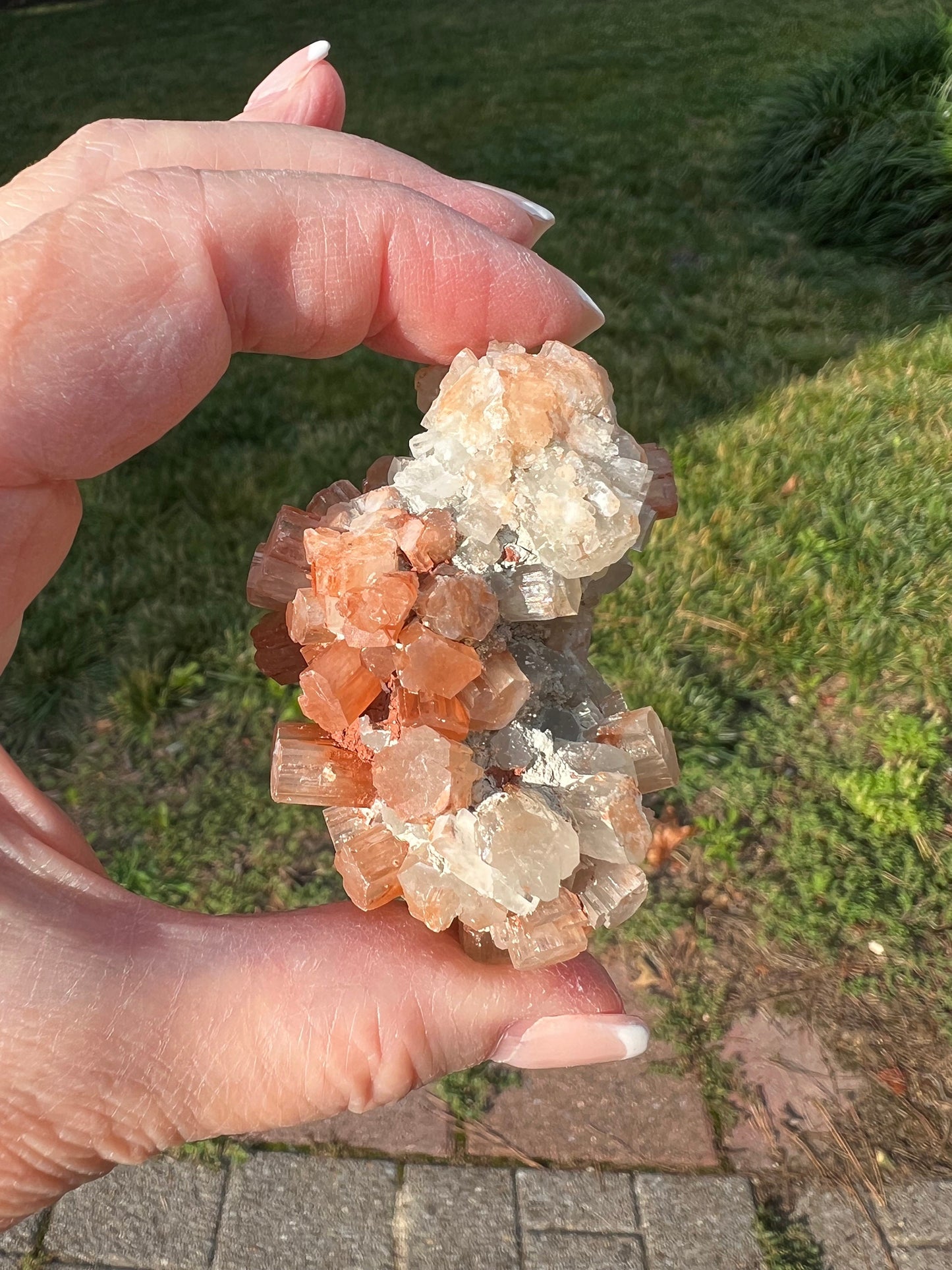 Sparkly Aragonite Raw Palm Stone, New, High Grade, essential grounding crystal, high vibration crystals healing, altar