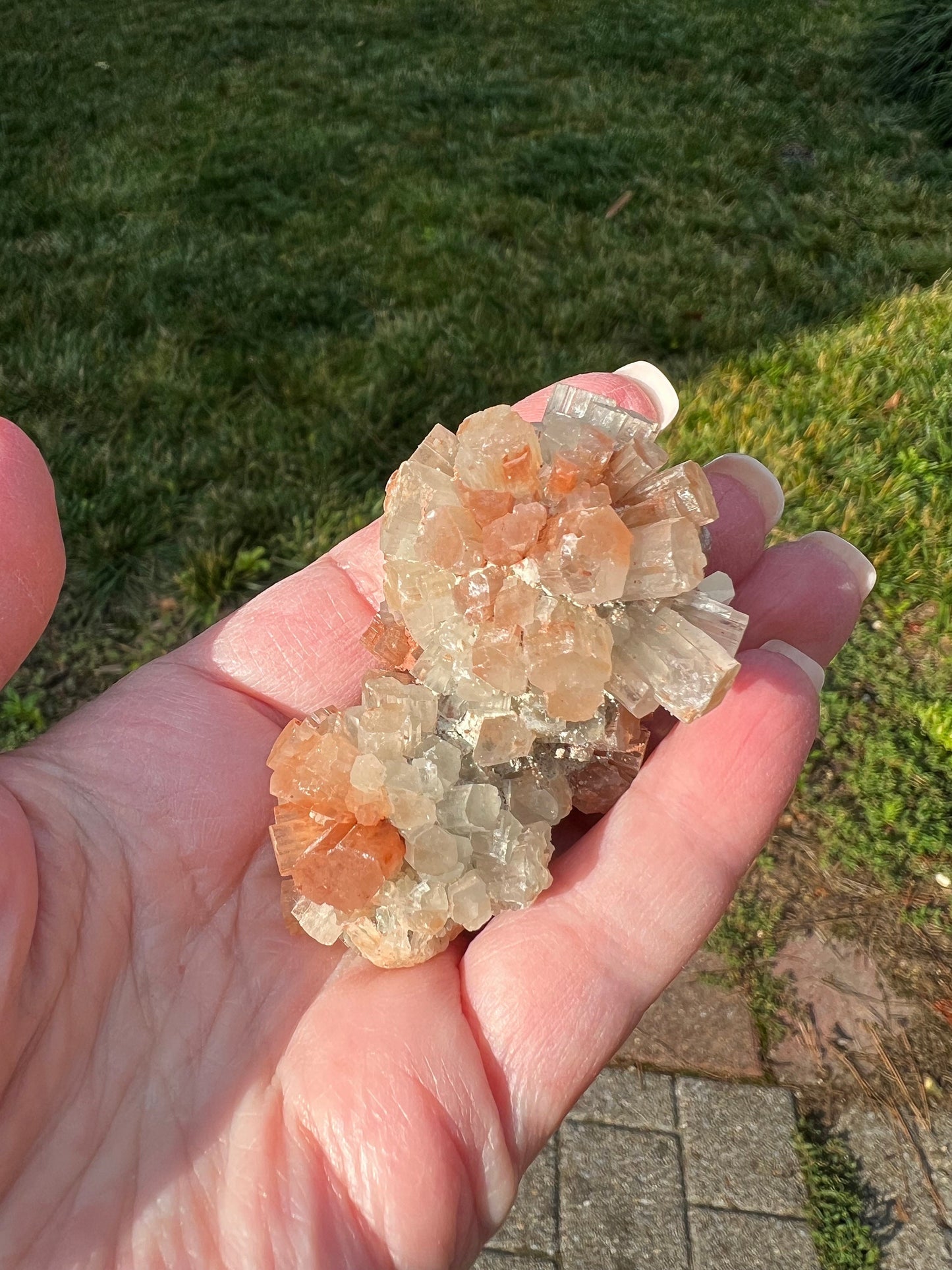 Sparkly Aragonite Raw Palm Stone, New, High Grade, essential grounding crystal, high vibration crystals healing, altar