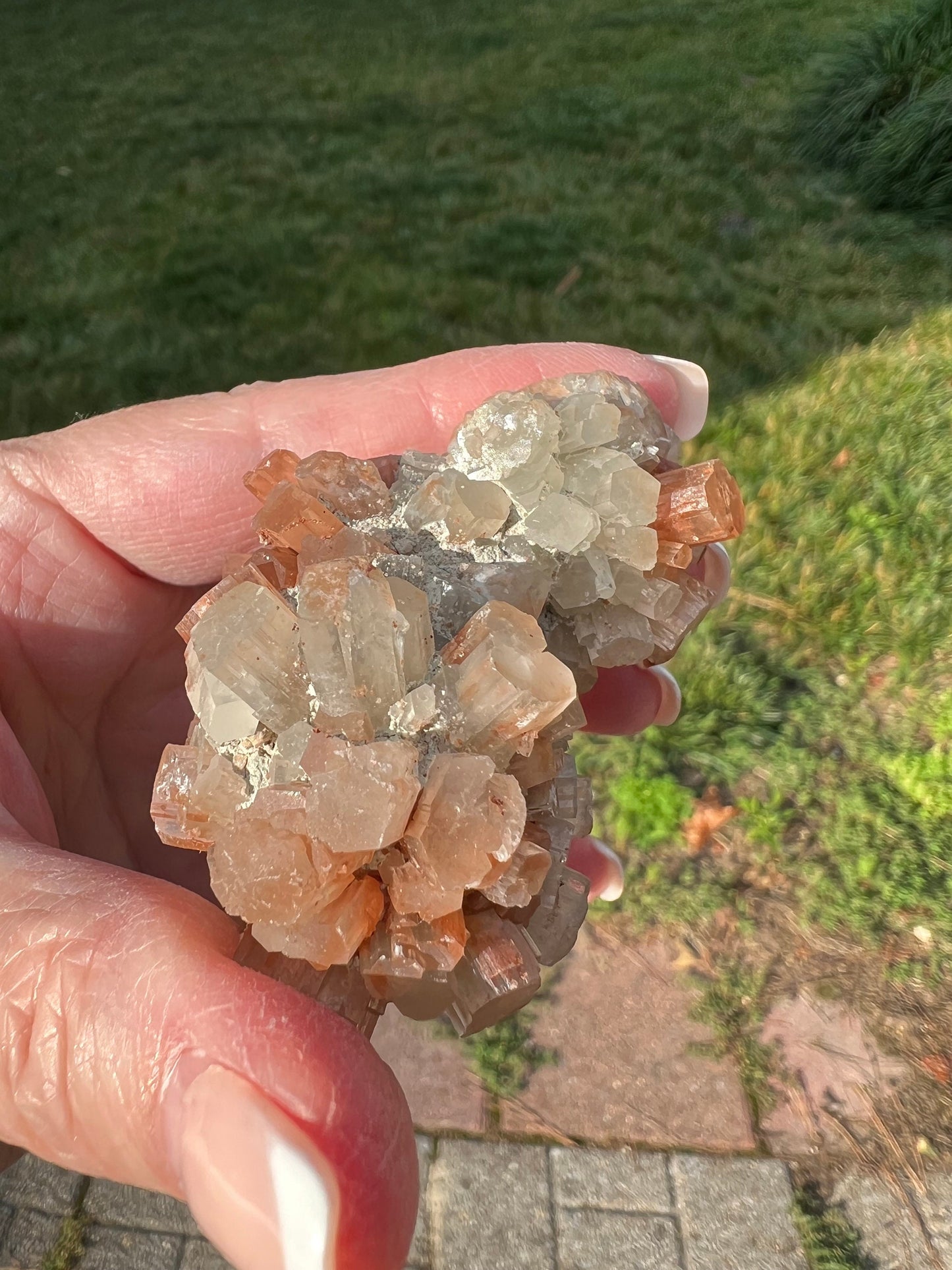 Sparkly Aragonite Raw Palm Stone, New, High Grade, essential grounding crystal, high vibration crystals healing, altar