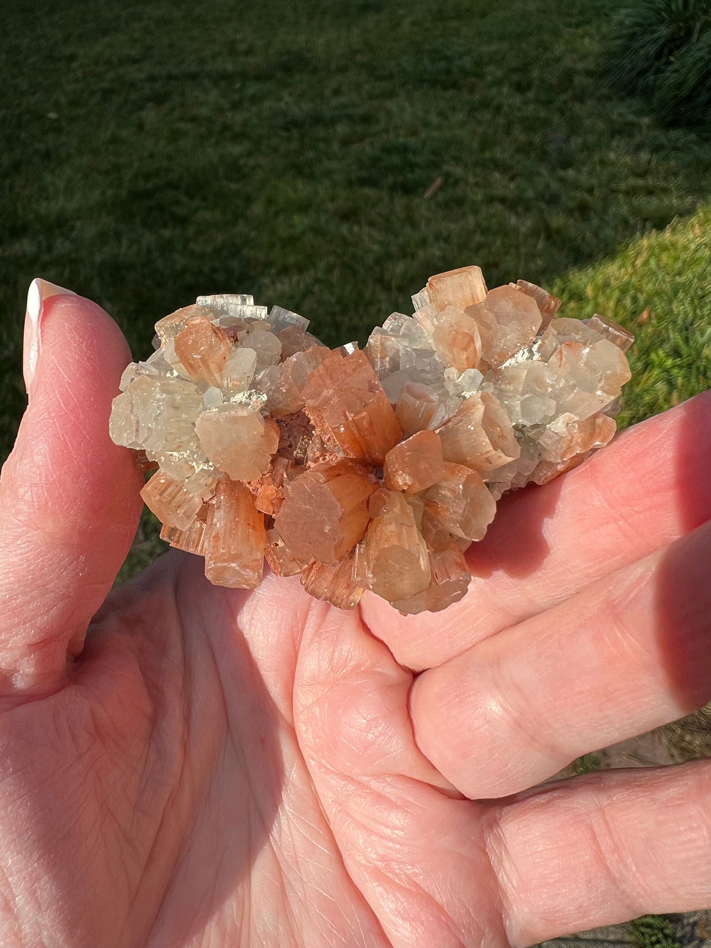Sparkly Aragonite Raw Palm Stone, New, High Grade, essential grounding crystal, high vibration crystals healing, altar