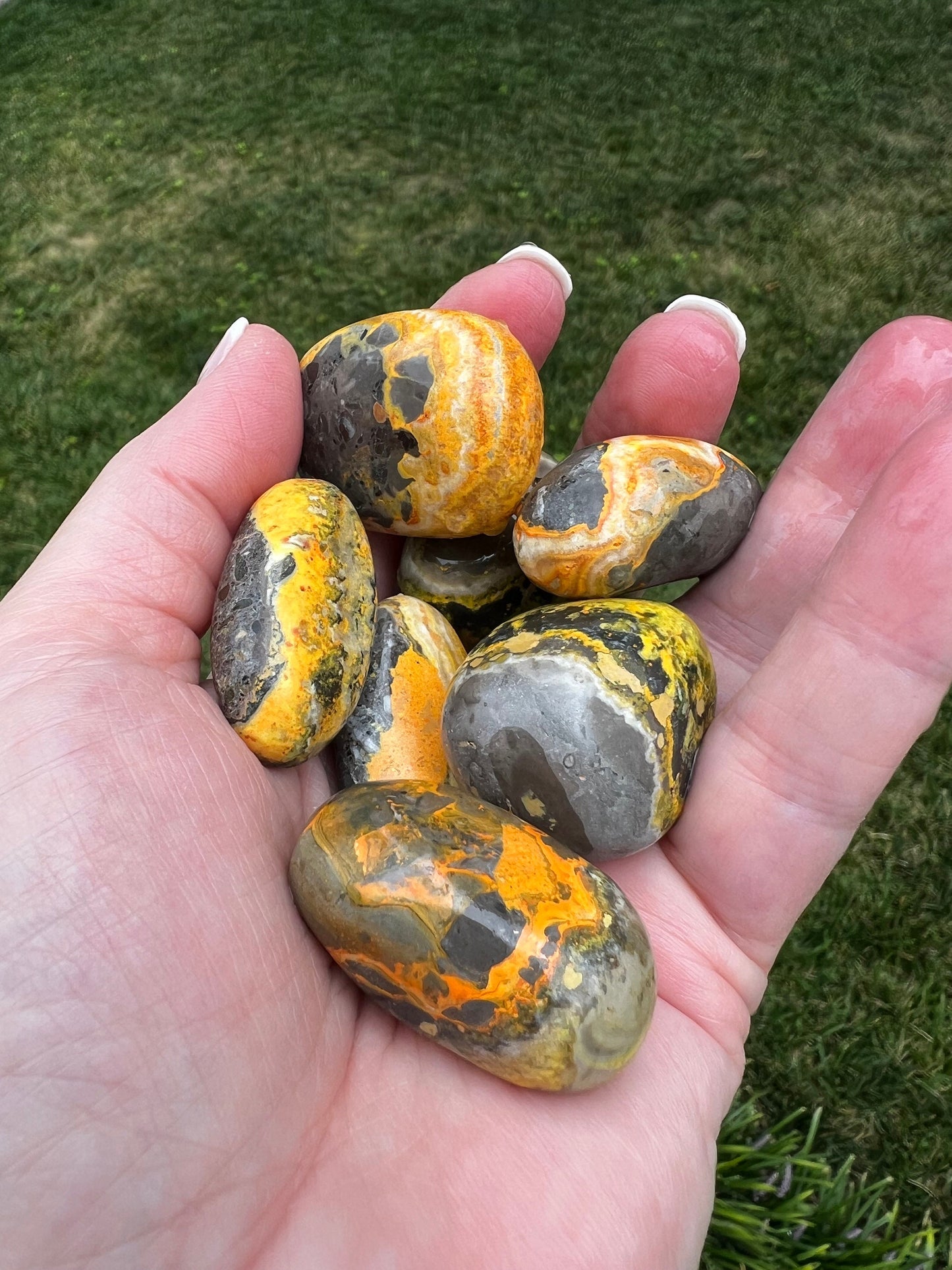 Premium Bumblebee Jasper tumbles, palm stone, beautiful carving, new, altar, gifts, meditation