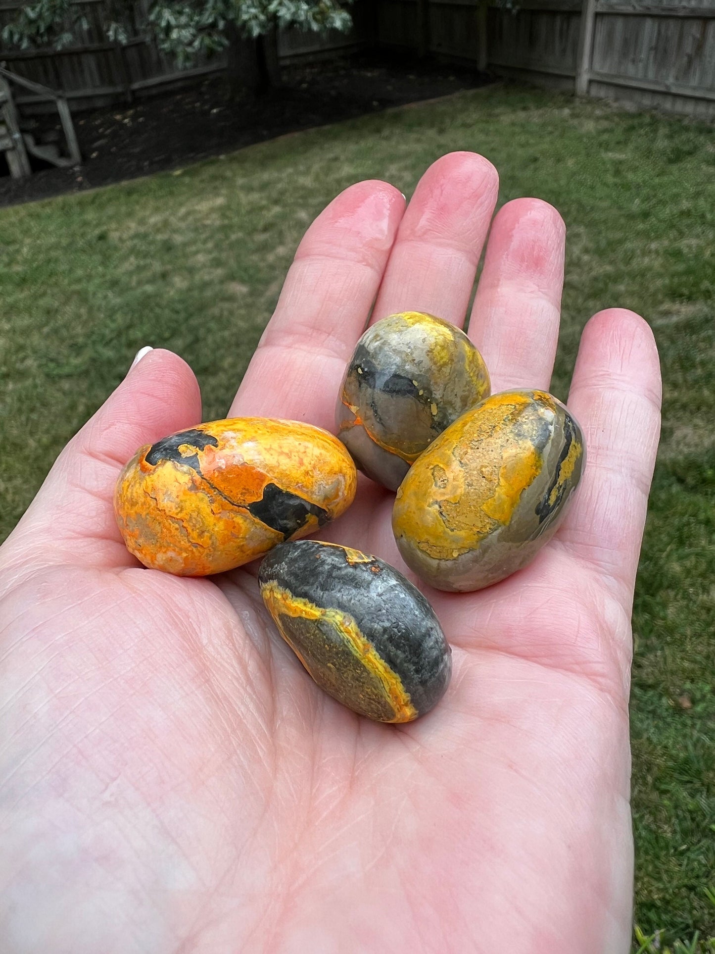 Premium Bumblebee Jasper tumbles, palm stone, beautiful carving, new, altar, gifts, meditation