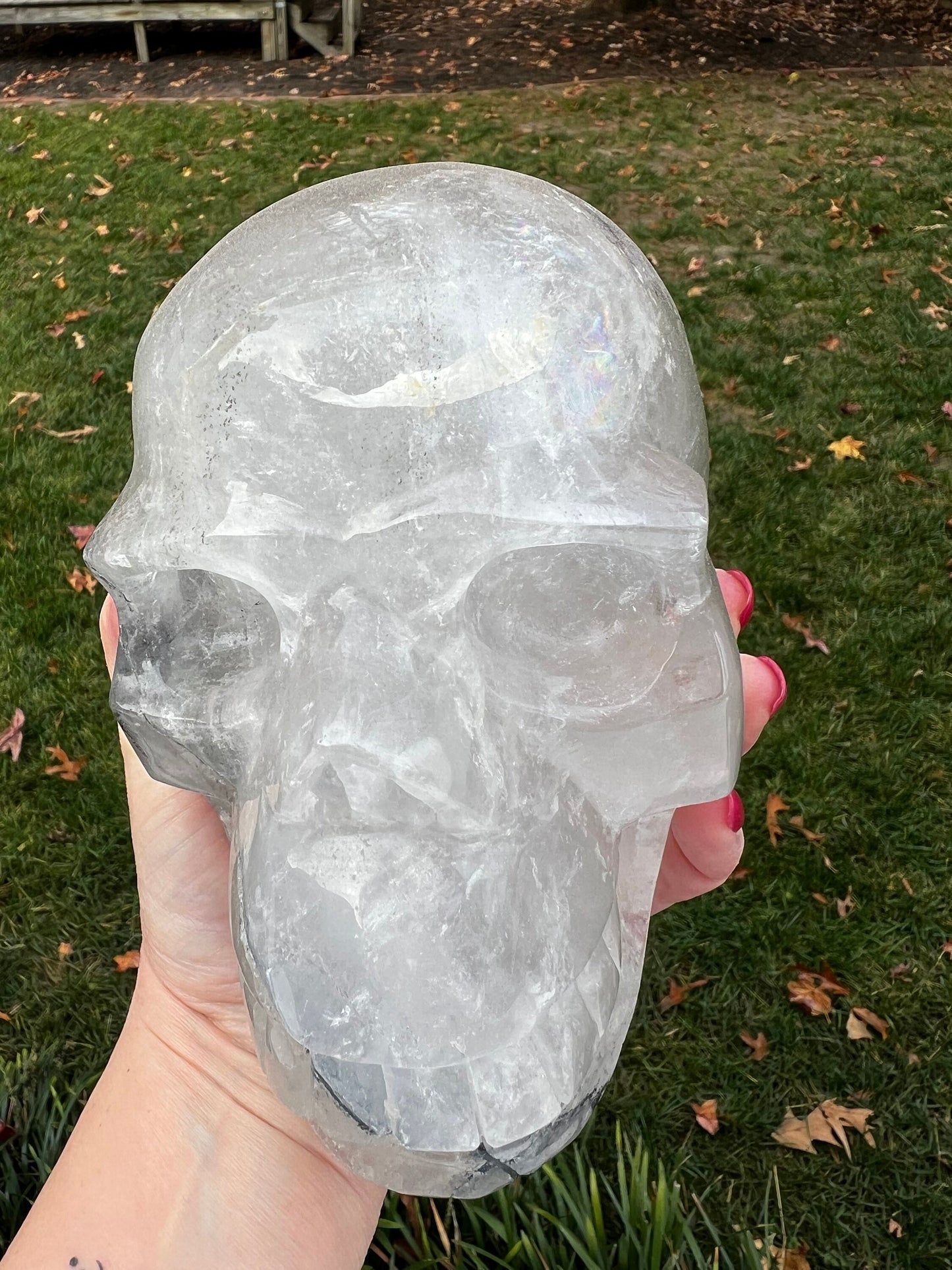 Quartz and Black Tourmaline Veined 6” Skull, 5.14.4 pounds, gift, high vibration crystal healing, altar