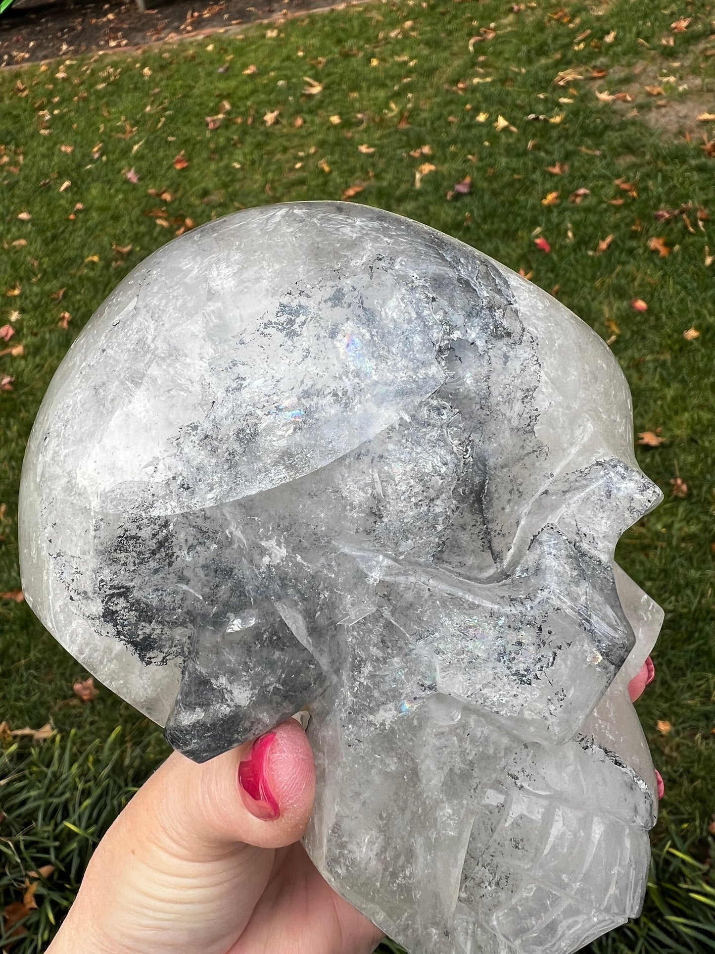 Quartz and Black Tourmaline Veined 6” Skull, 5.14.4 pounds, gift, high vibration crystal healing, altar