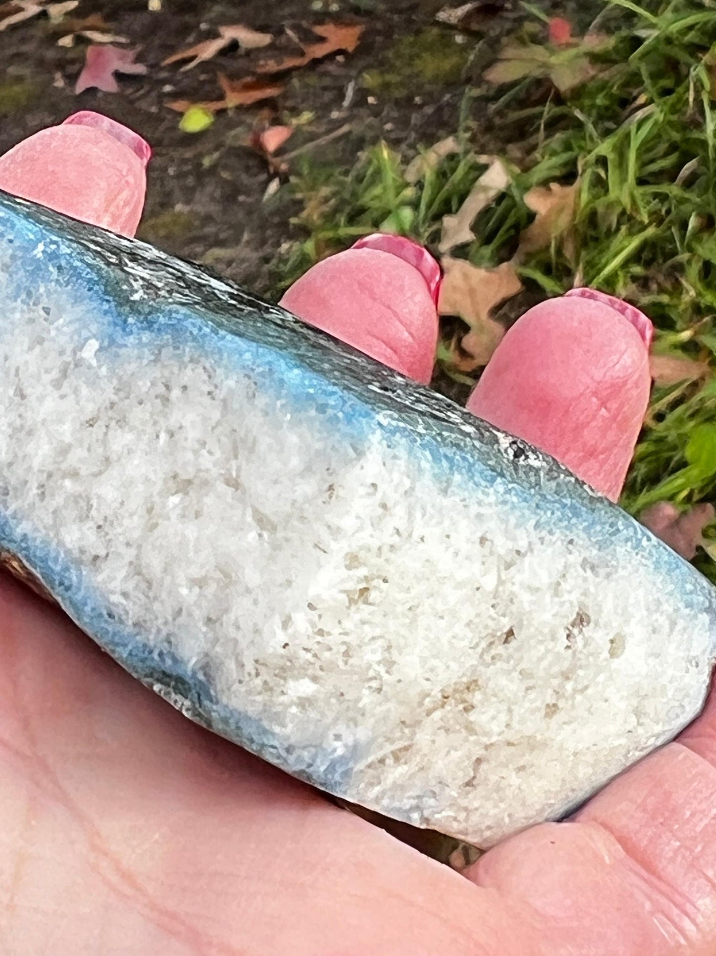Quartz and Black Tourmaline Veined 6” Skull, 5.14.4 pounds, gift, high vibration crystal healing, altar