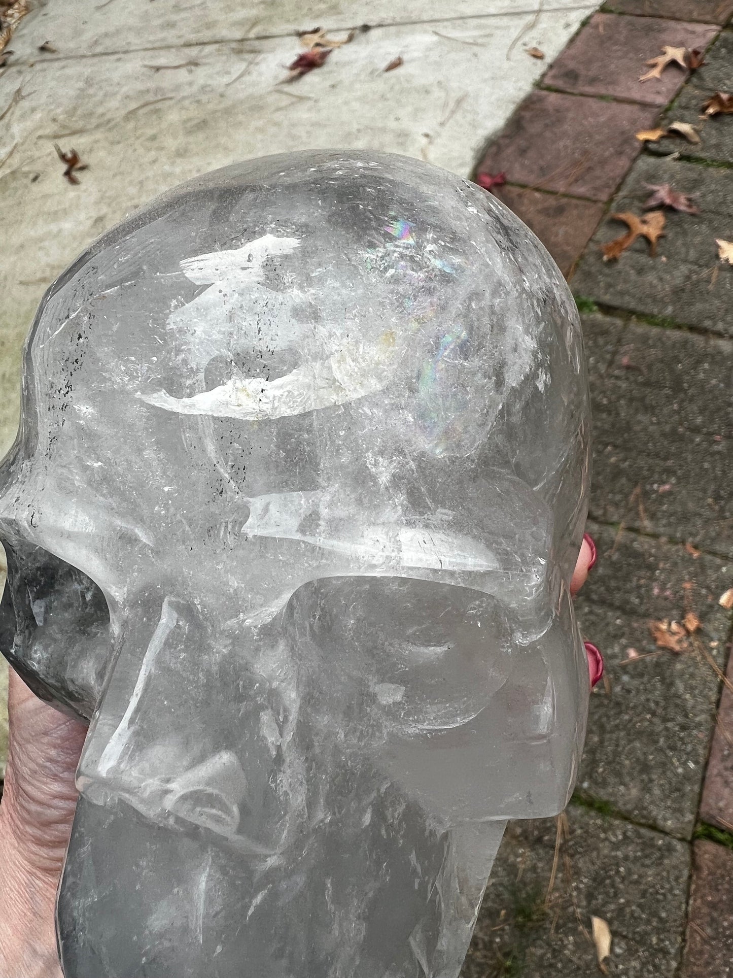 Quartz and Black Tourmaline Veined 6” Skull, 5.14.4 pounds, gift, high vibration crystal healing, altar