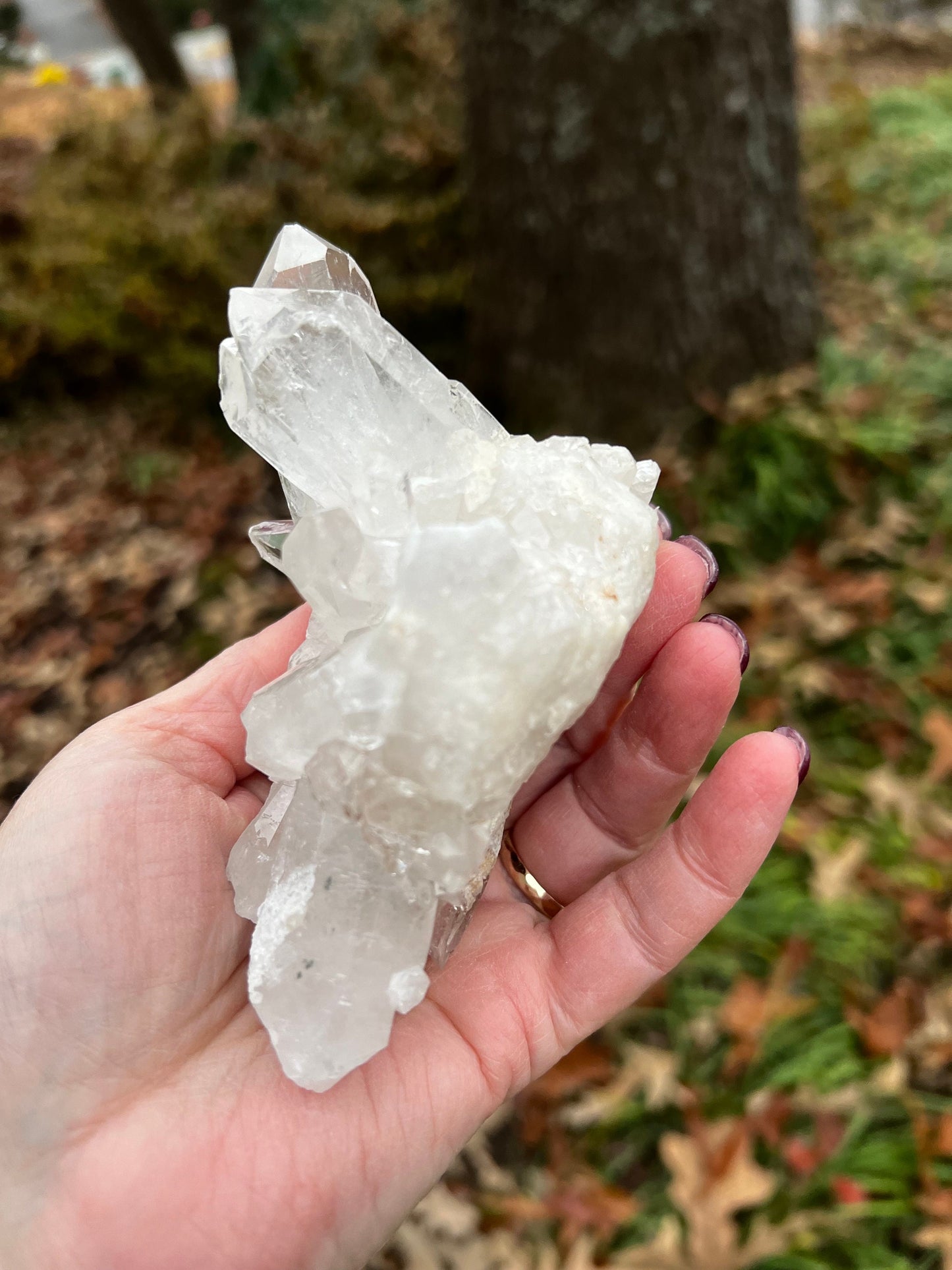Lemurian Quartz Cluster Bed from Tomaz Gonzaga, new, high frequency crystals, beautiful, gifts, altar