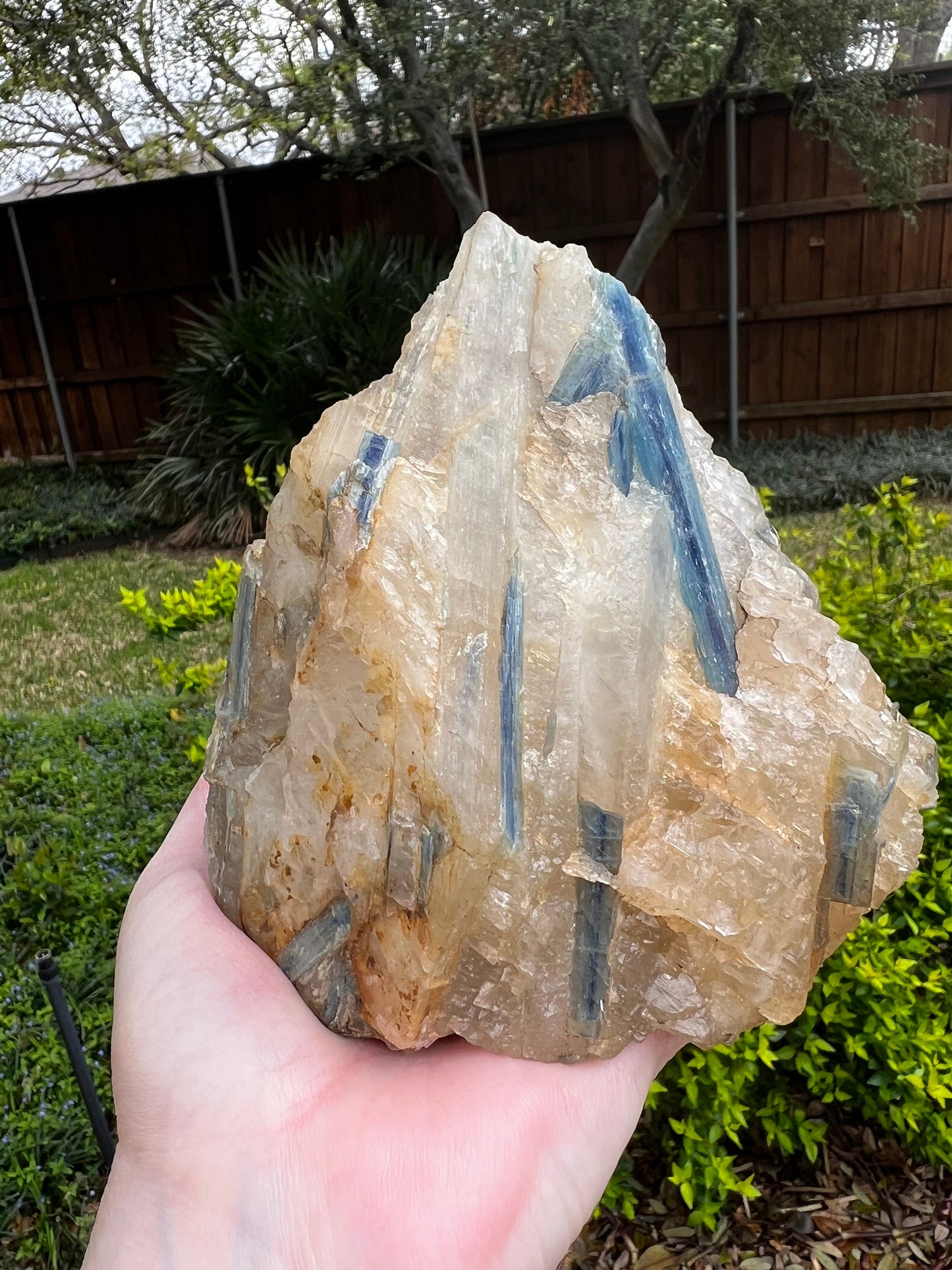 Huge Blue Kyanite Quartz Statement Piece, rare, Top Quality grade, crystal healing, high vibration crystals, 4.3.4 lbs, 5.25”