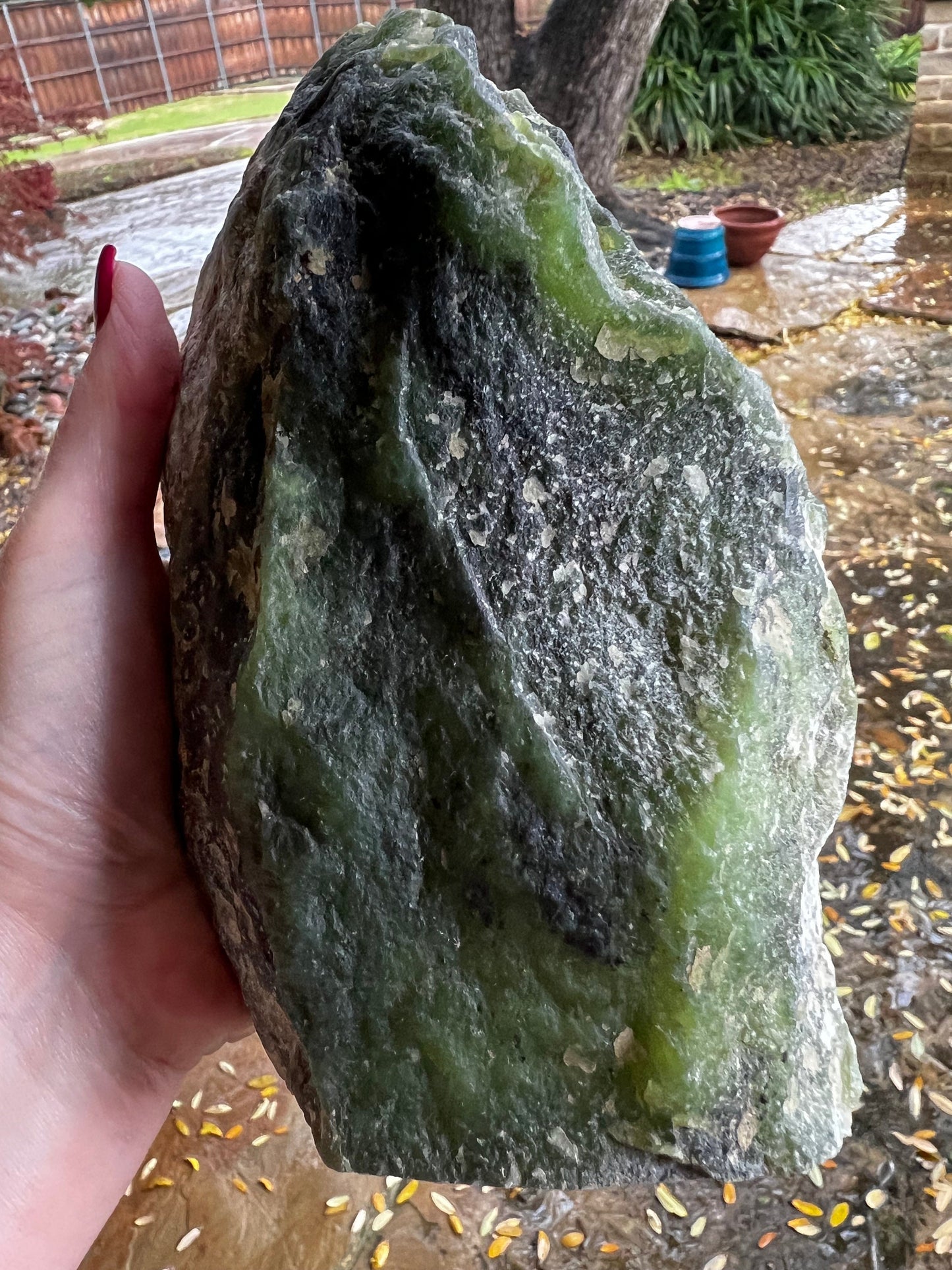 Huge Grossular Garnet Specimen, raw and polished, high vibration crystals, altar, gift, statement crystal, 8”