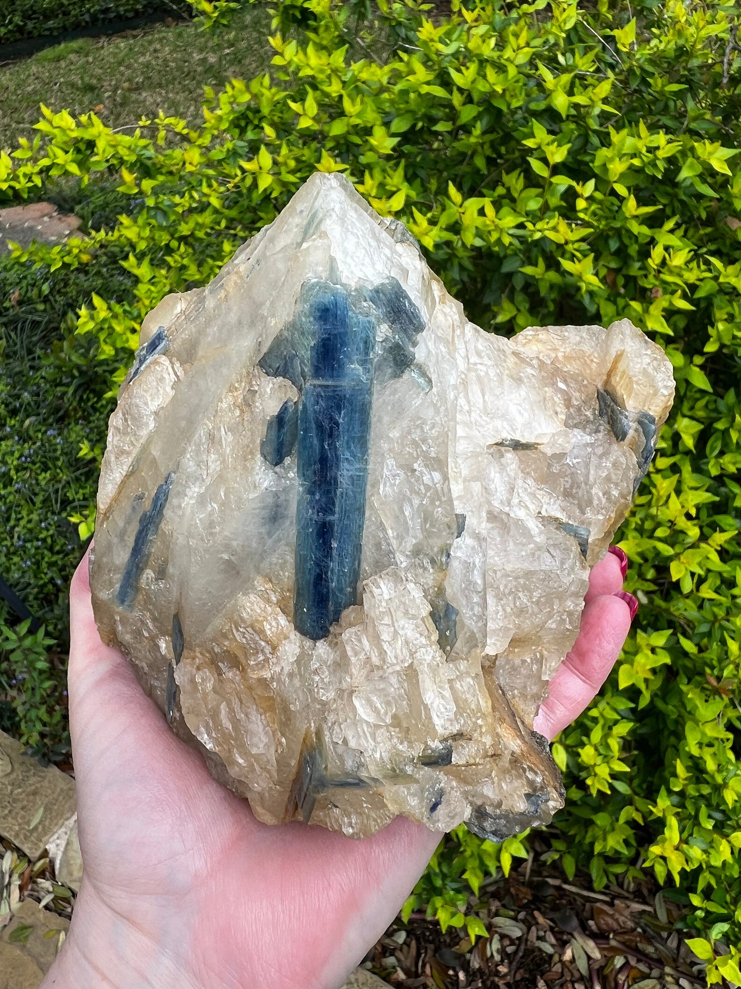 Huge Blue Kyanite Quartz Statement Piece, rare, Top Quality grade, crystal healing, high vibration crystals, 4.3.4 lbs, 5.25”