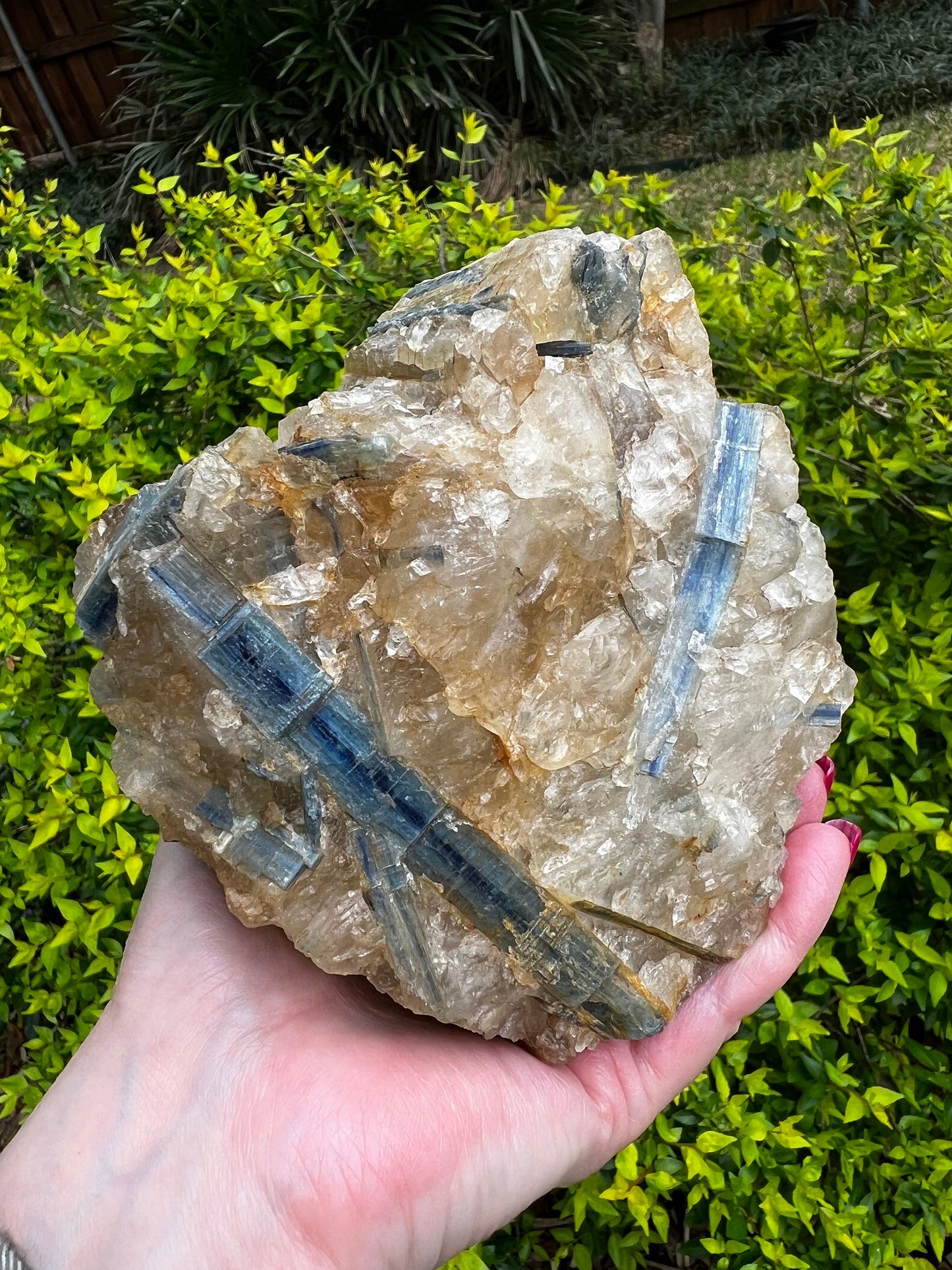 Huge Blue Kyanite Quartz Statement Piece, rare, Top Quality grade, crystal healing, high vibration crystals, 4.3.4 lbs, 5.25”