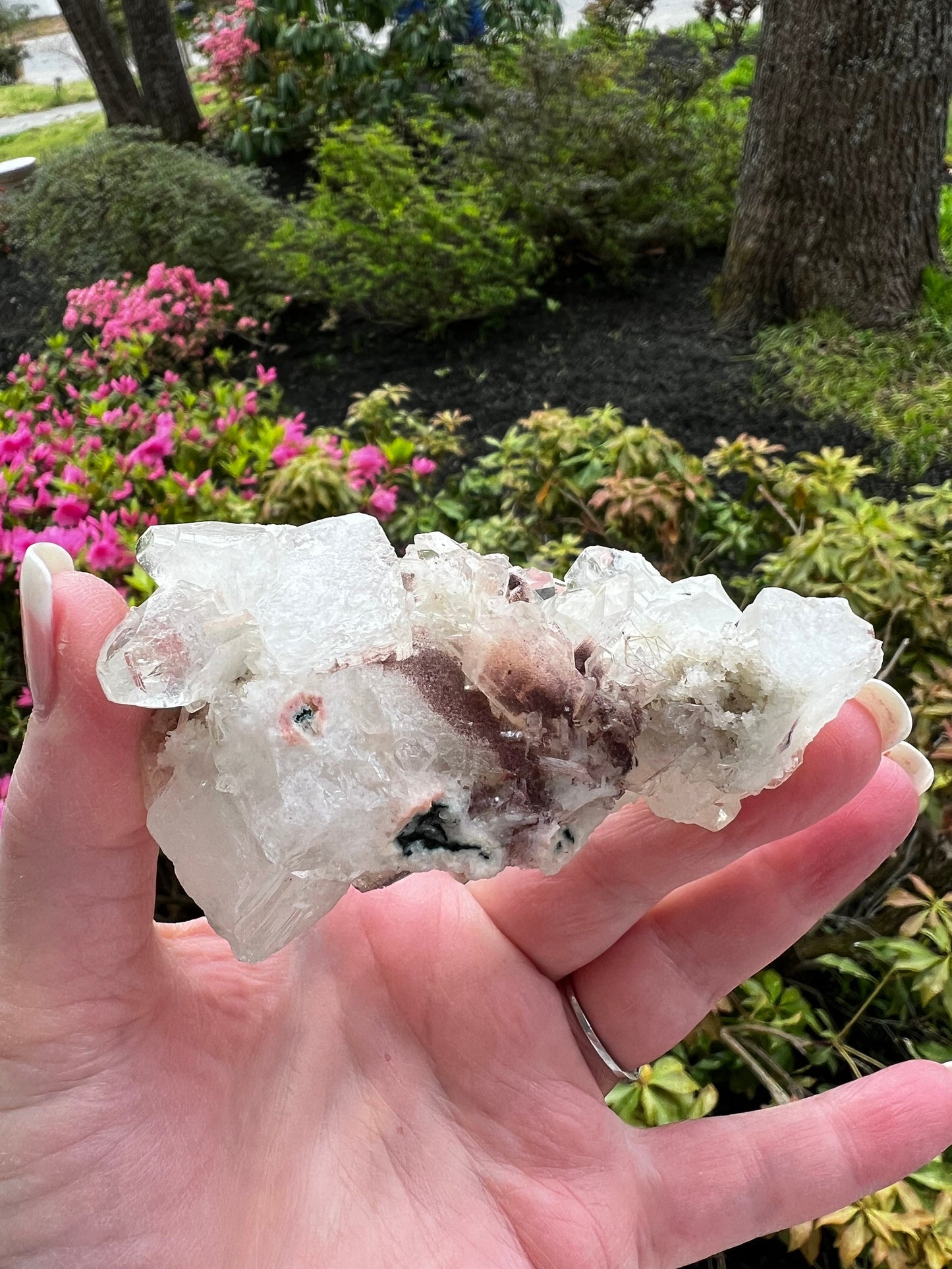 Large Apophyllite Fairy Bed with points like diamonds, new, stalactite eyes, high vibration crystals, gifts, altar, 3.5x1.75”