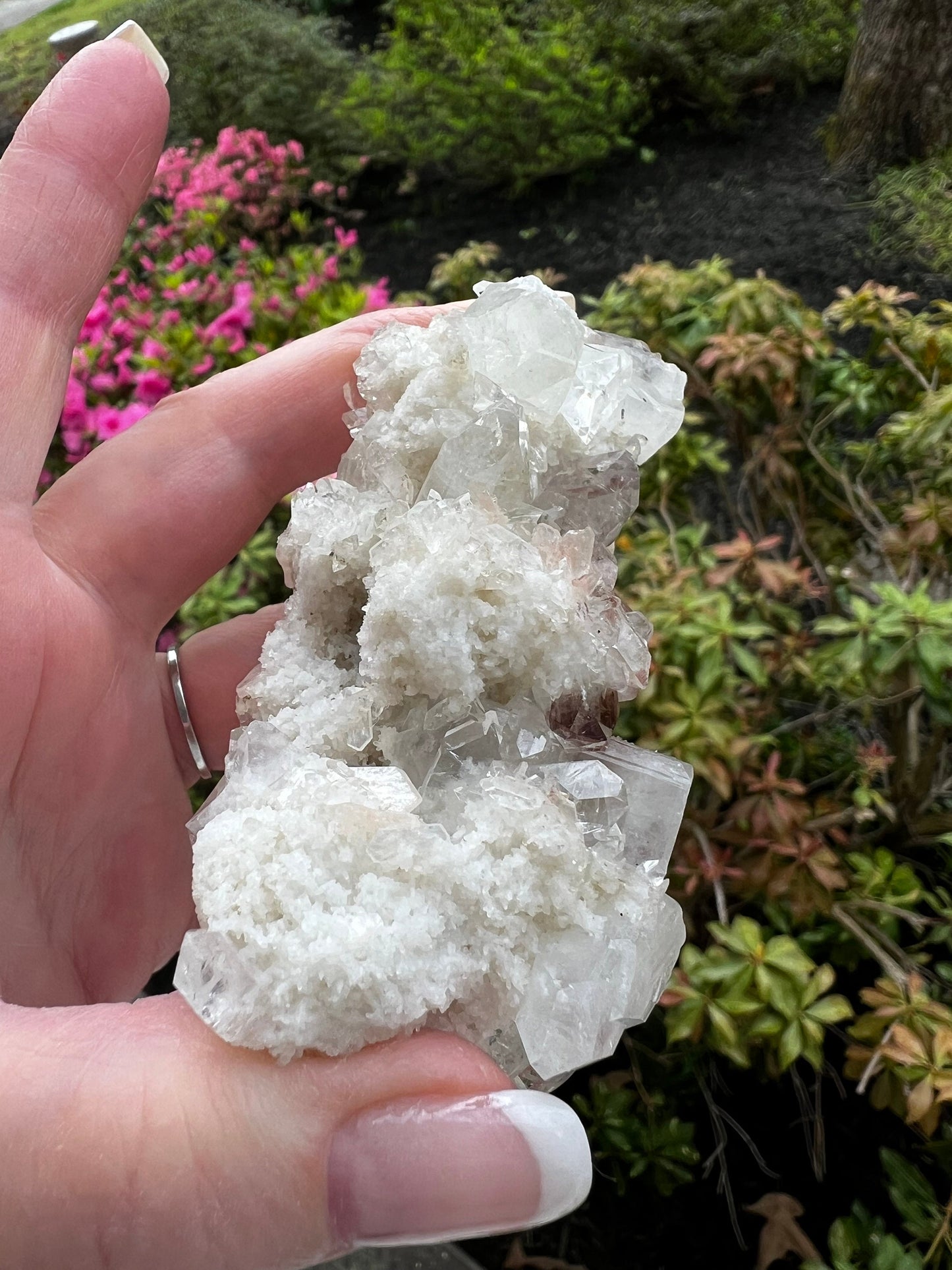 Large Apophyllite Fairy Bed with points like diamonds, new, stalactite eyes, high vibration crystals, gifts, altar, 3.5x1.75”