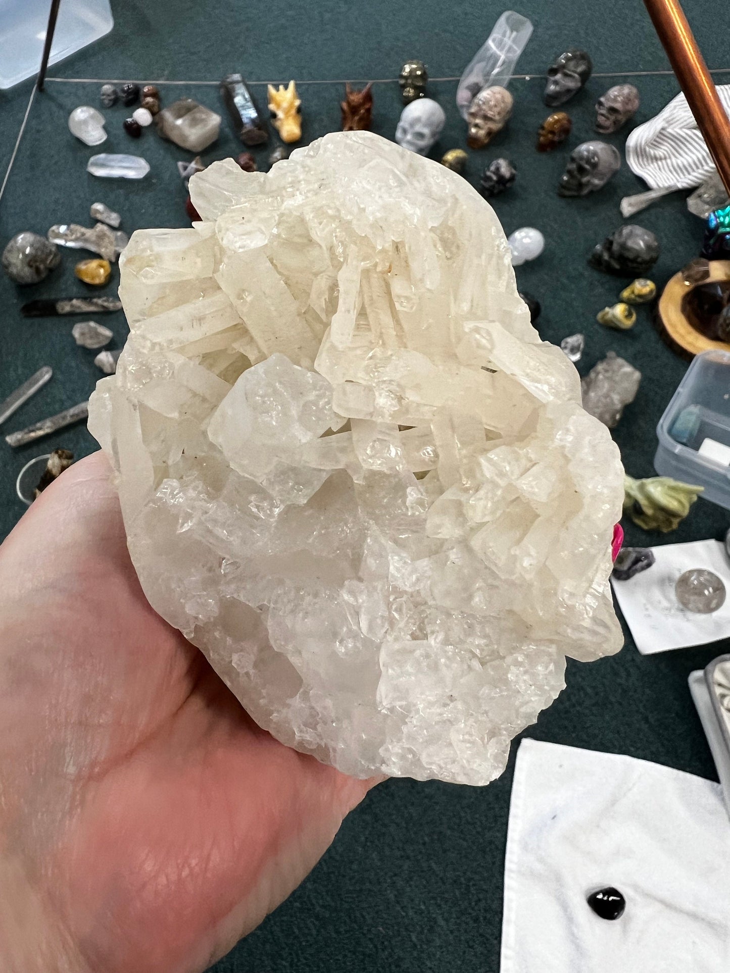 Private Collection Temple White Calcite Skull carving, high vibration crystals, altar, gifts