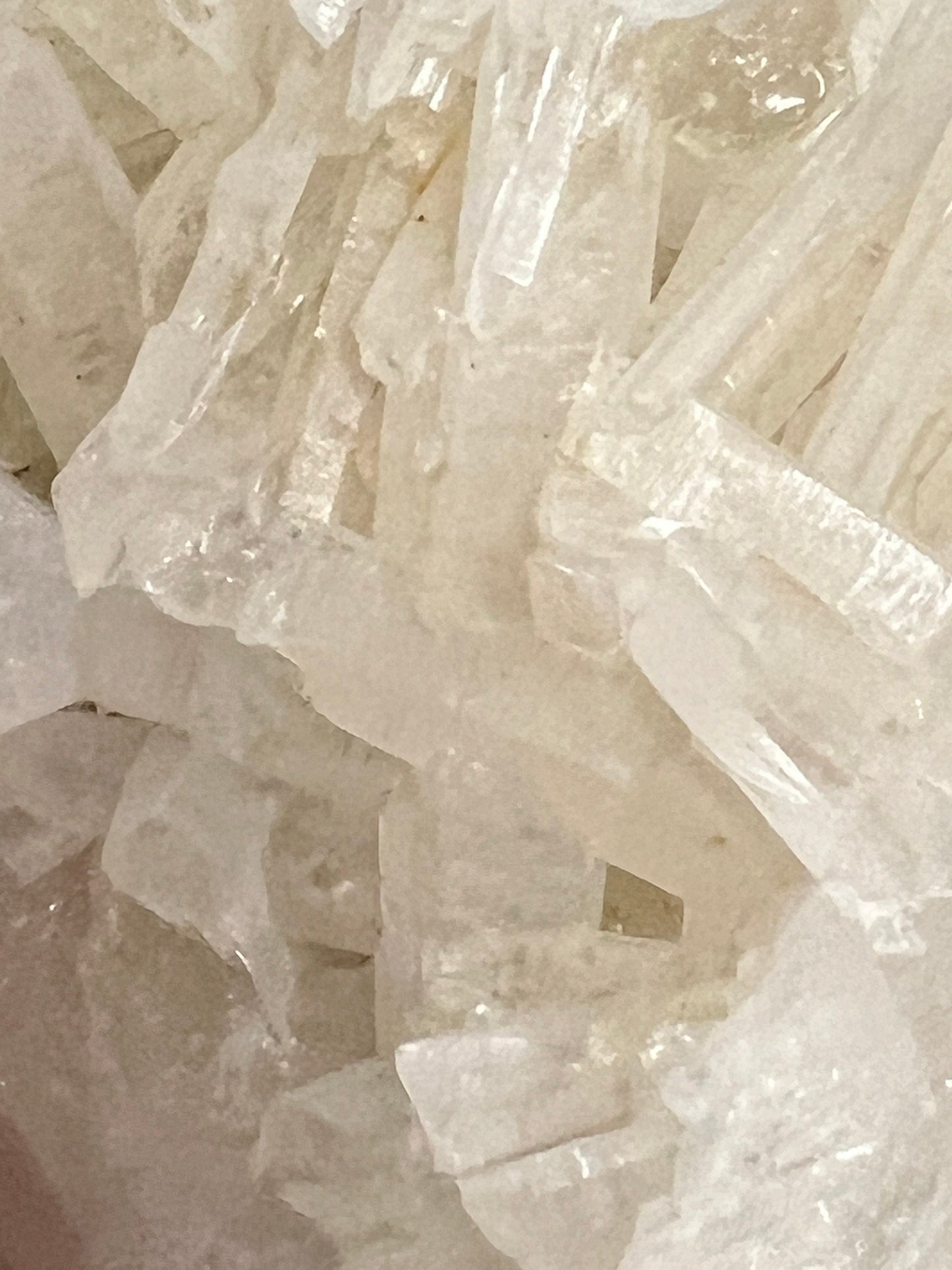Private Collection Temple White Calcite Skull carving, high vibration crystals, altar, gifts
