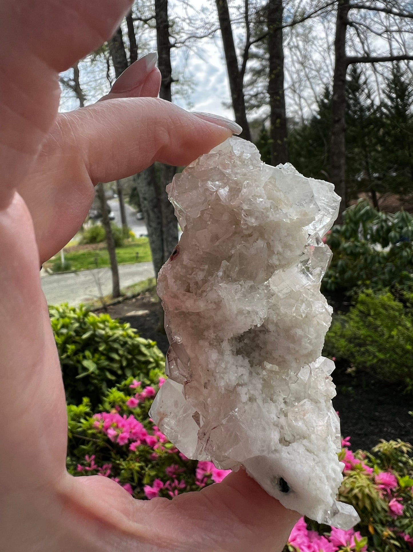 Large Apophyllite Fairy Bed with points like diamonds, new, stalactite eyes, high vibration crystals, gifts, altar, 3.5x1.75”