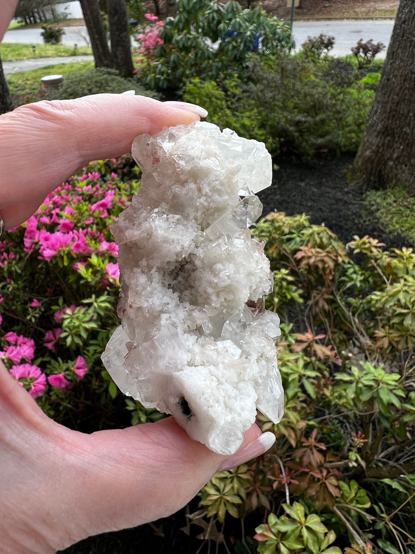 Large Apophyllite Fairy Bed with points like diamonds, new, stalactite eyes, high vibration crystals, gifts, altar, 3.5x1.75”