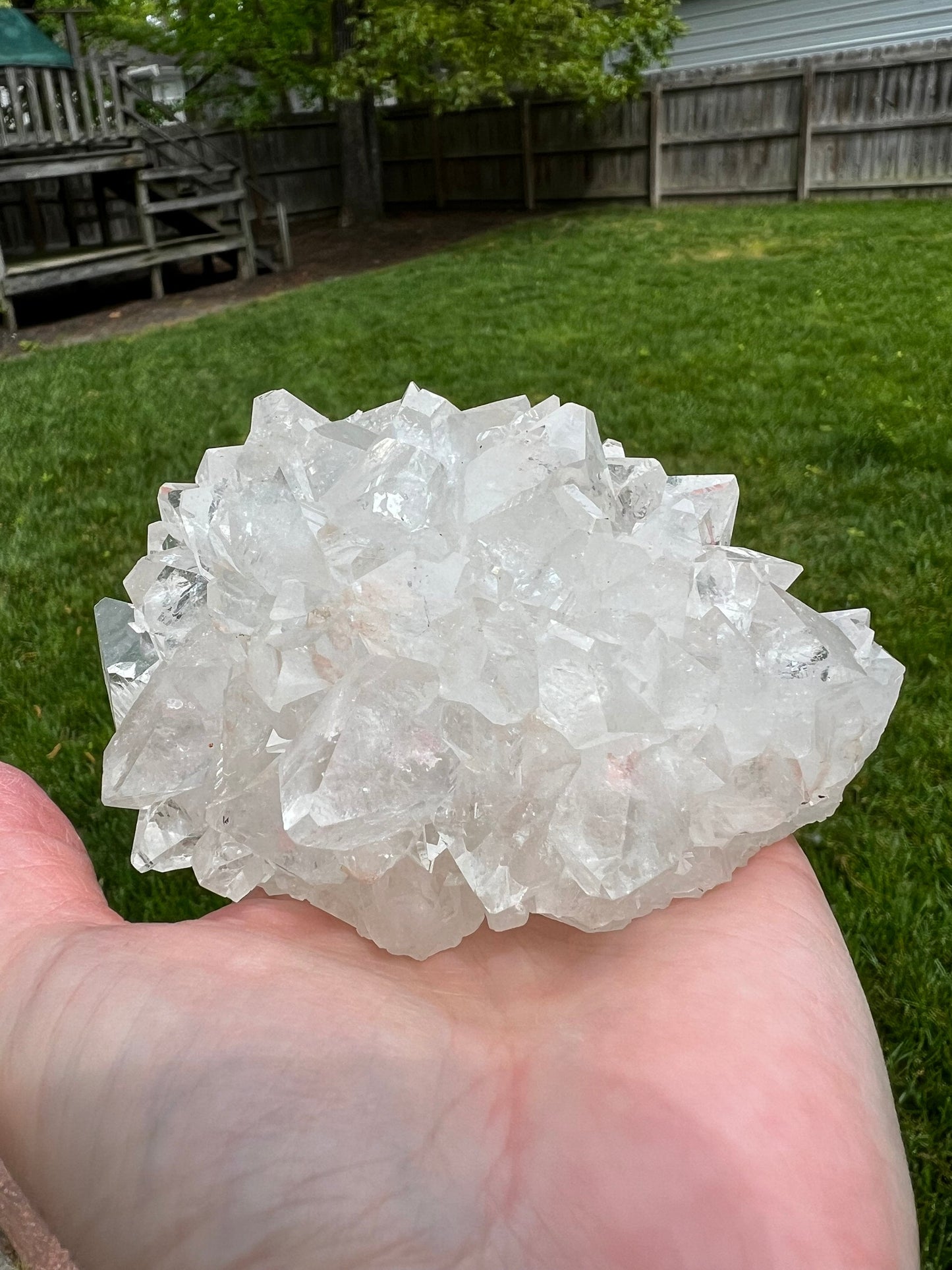 Large Apophyllite Fairy Rosette Bed with points like diamonds, new, high vibration crystals, gifts, altar, 4”