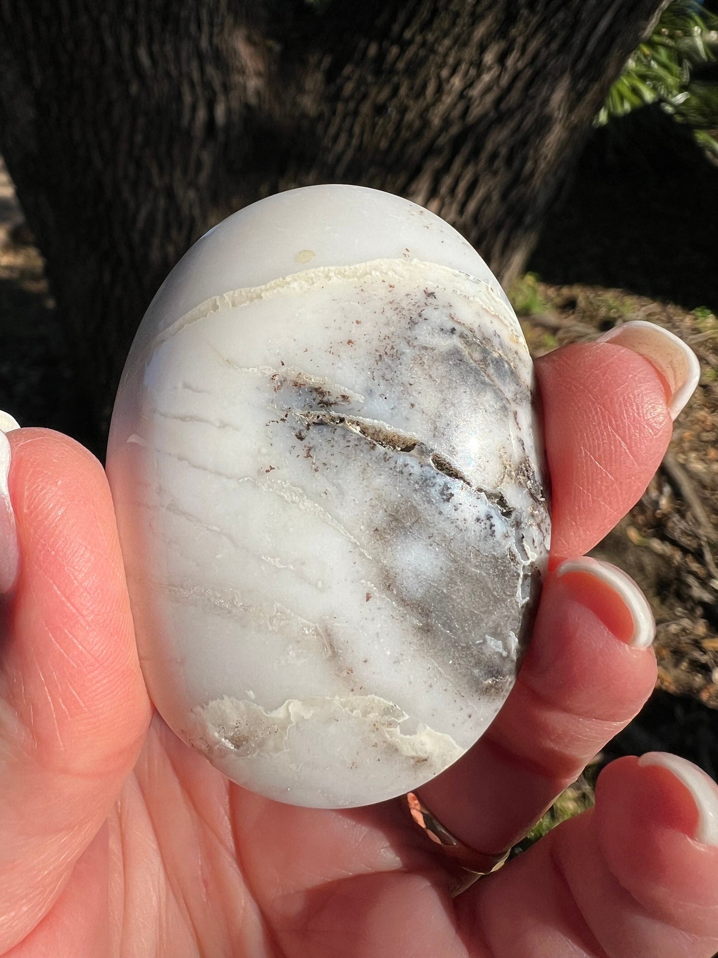 Merlinite Dendritic Druzy Agate Polished palm, 2.4”, meditation, gifts