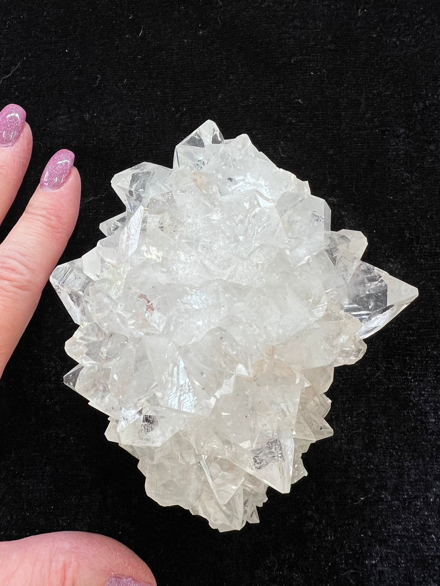 Large Apophyllite Fairy Rosette Bed with points like diamonds, new, high vibration crystals, gifts, altar, 4”