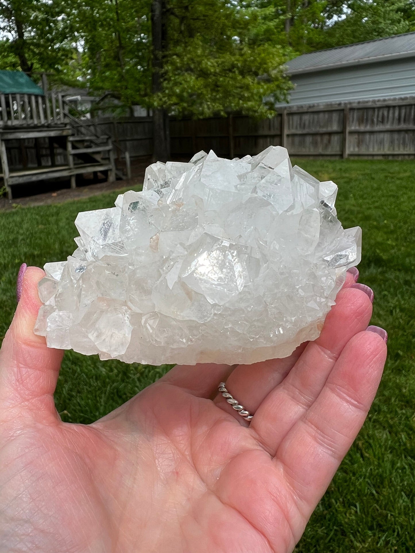Large Apophyllite Fairy Rosette Bed with points like diamonds, new, high vibration crystals, gifts, altar, 4”