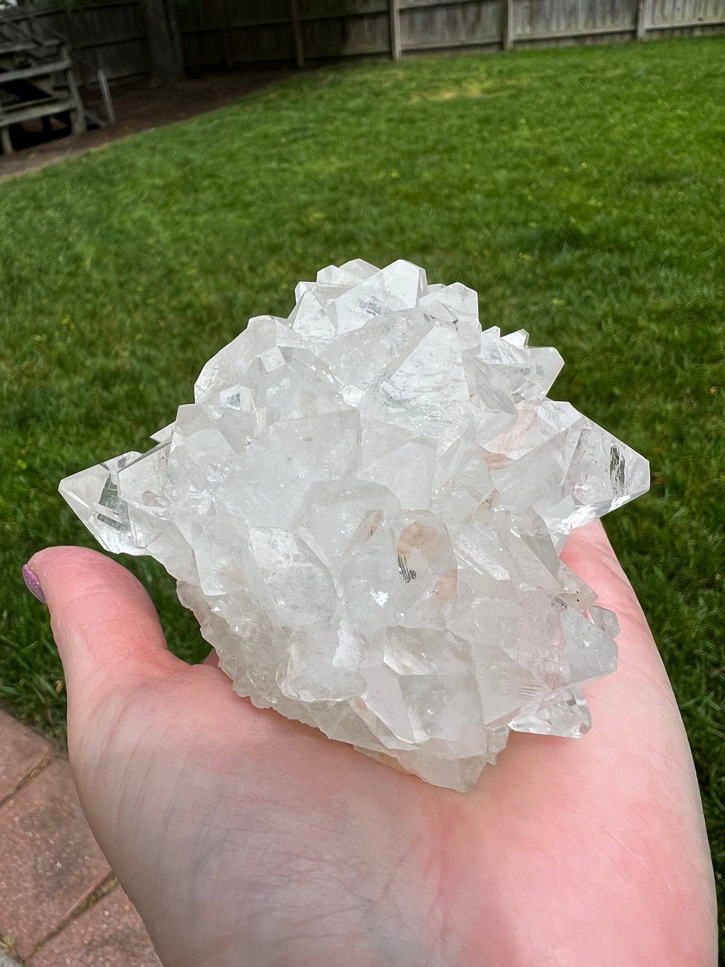 Large Apophyllite Fairy Rosette Bed with points like diamonds, new, high vibration crystals, gifts, altar, 4”