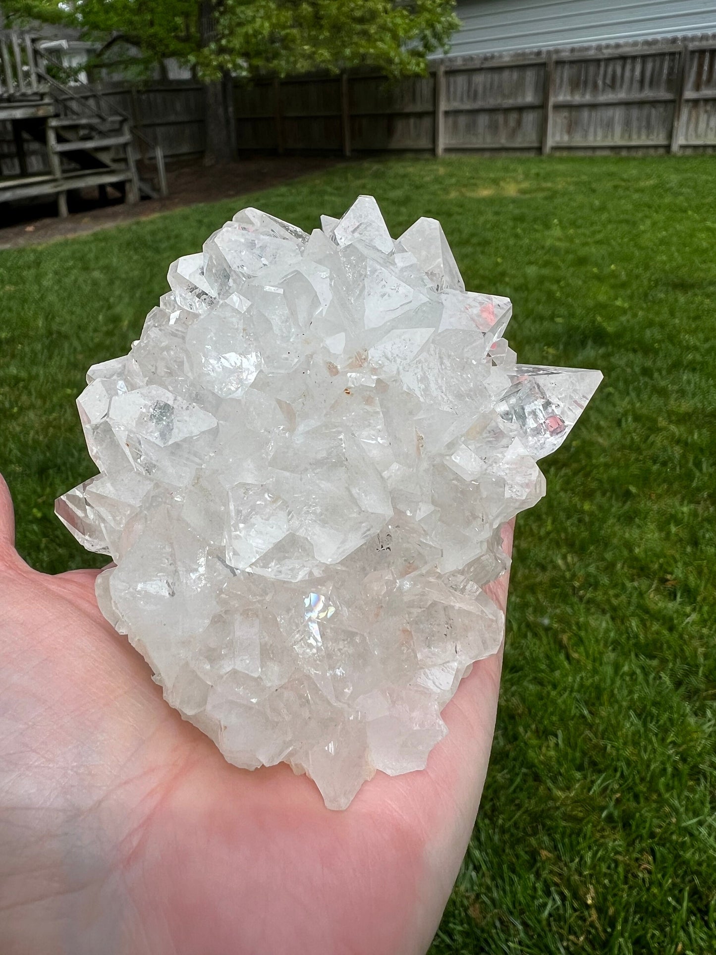 Large Apophyllite Fairy Rosette Bed with points like diamonds, new, high vibration crystals, gifts, altar, 4”
