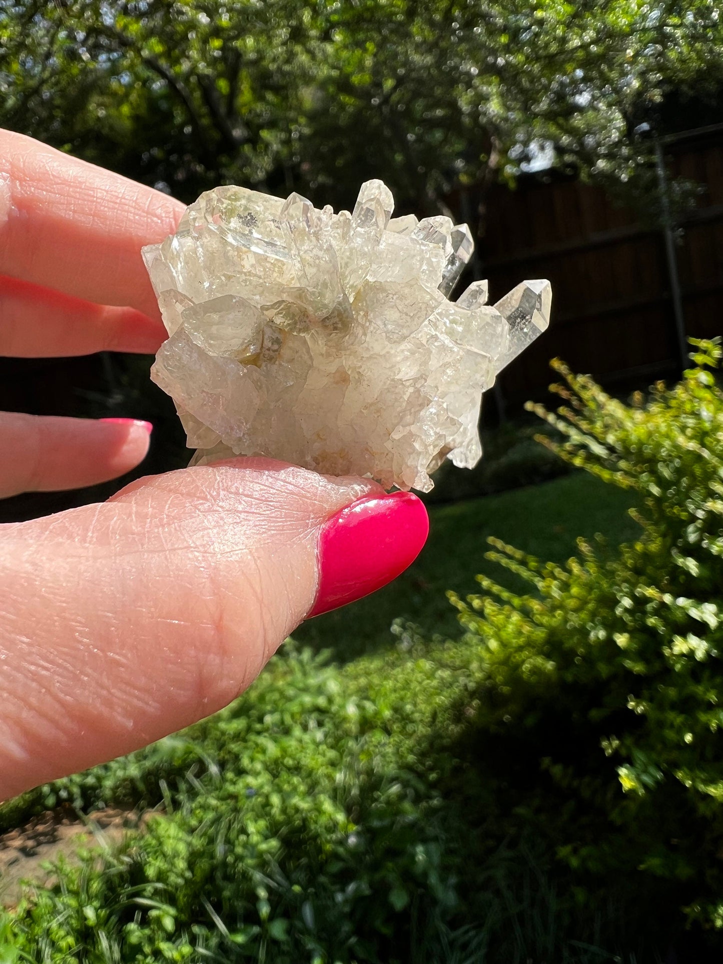 Quartz Cluster Bed, new, high frequency crystals, beautiful, gifts, altar