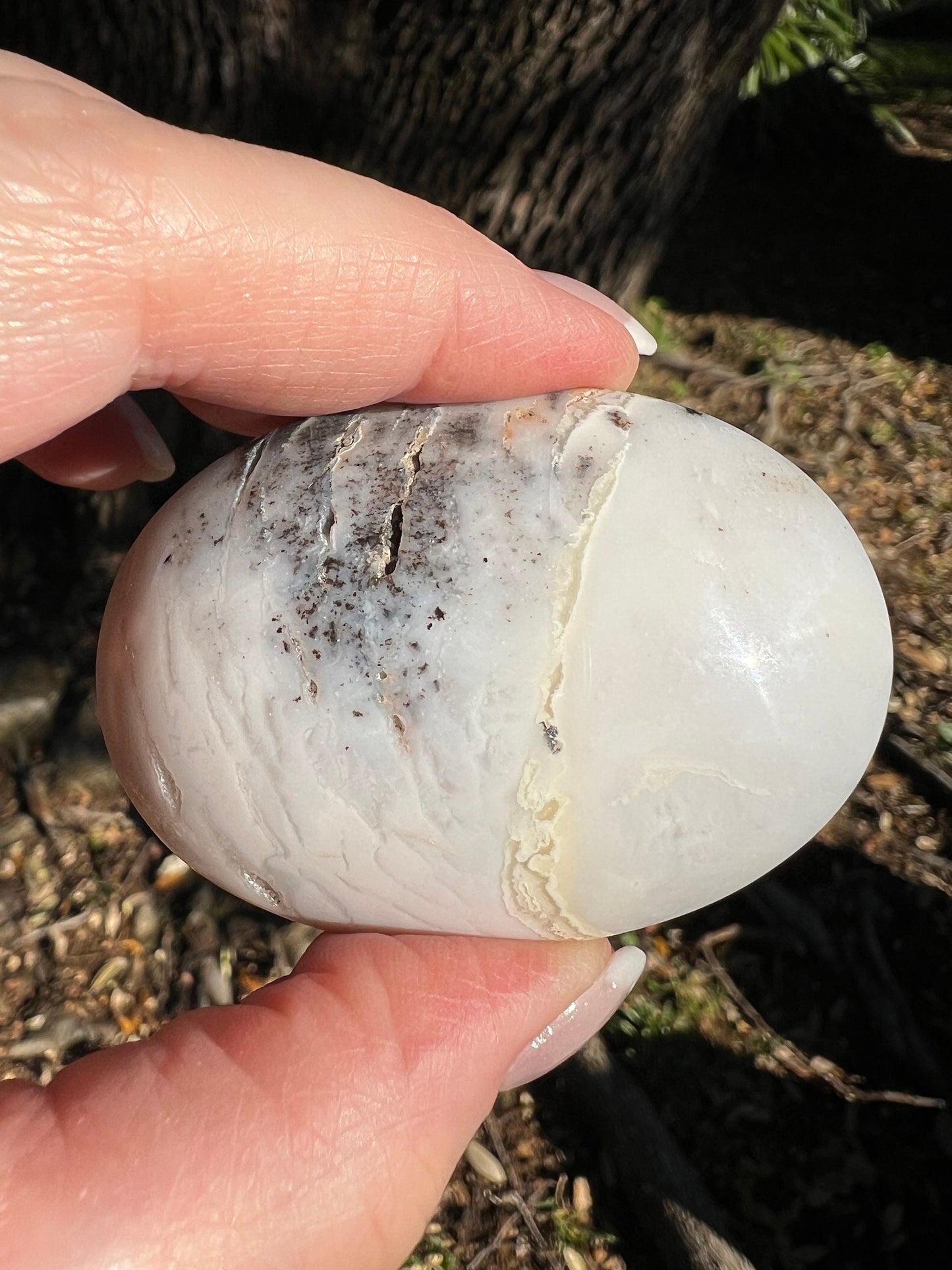 Merlinite Dendritic Druzy Agate Polished palm, 2.4”, meditation, gifts