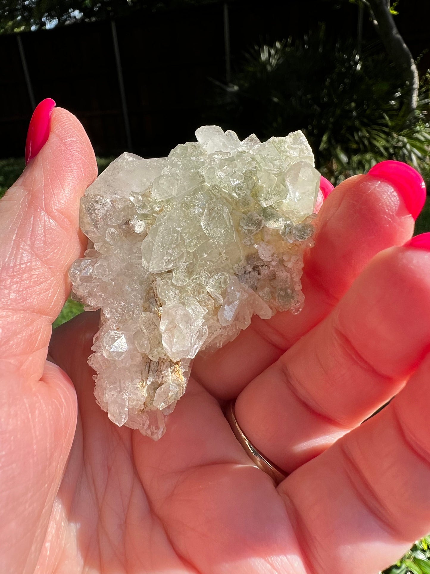 Quartz Cluster Bed, new, high frequency crystals, beautiful, gifts, altar