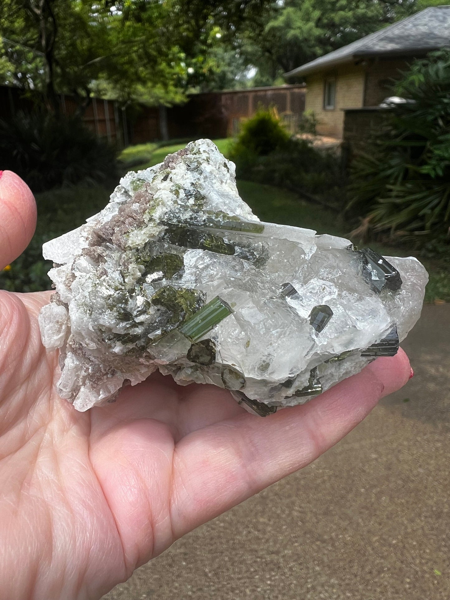 Large Green Tourmaline in Quartz with Lepidolite sugar bed, stunning raw altar piece 10 oz sparkly fairy bed, high vibration crystals, 3.5”