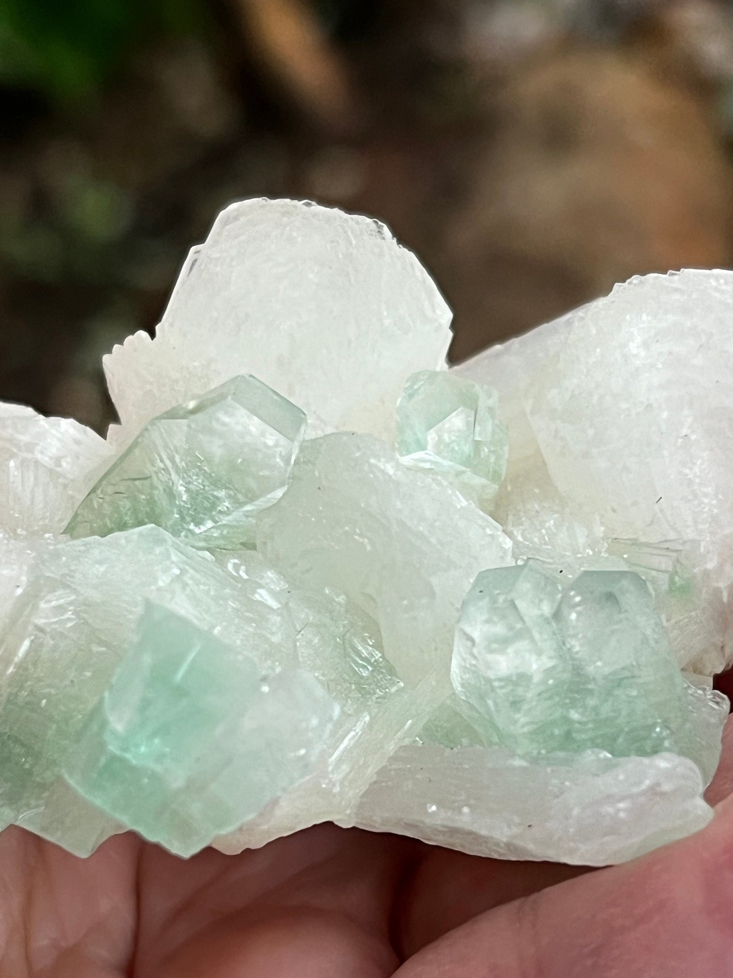 Green Apophyllite Fairy Bed with sparkle, celadonite, new, 2.7”, high vibration crystals, gifts, altar