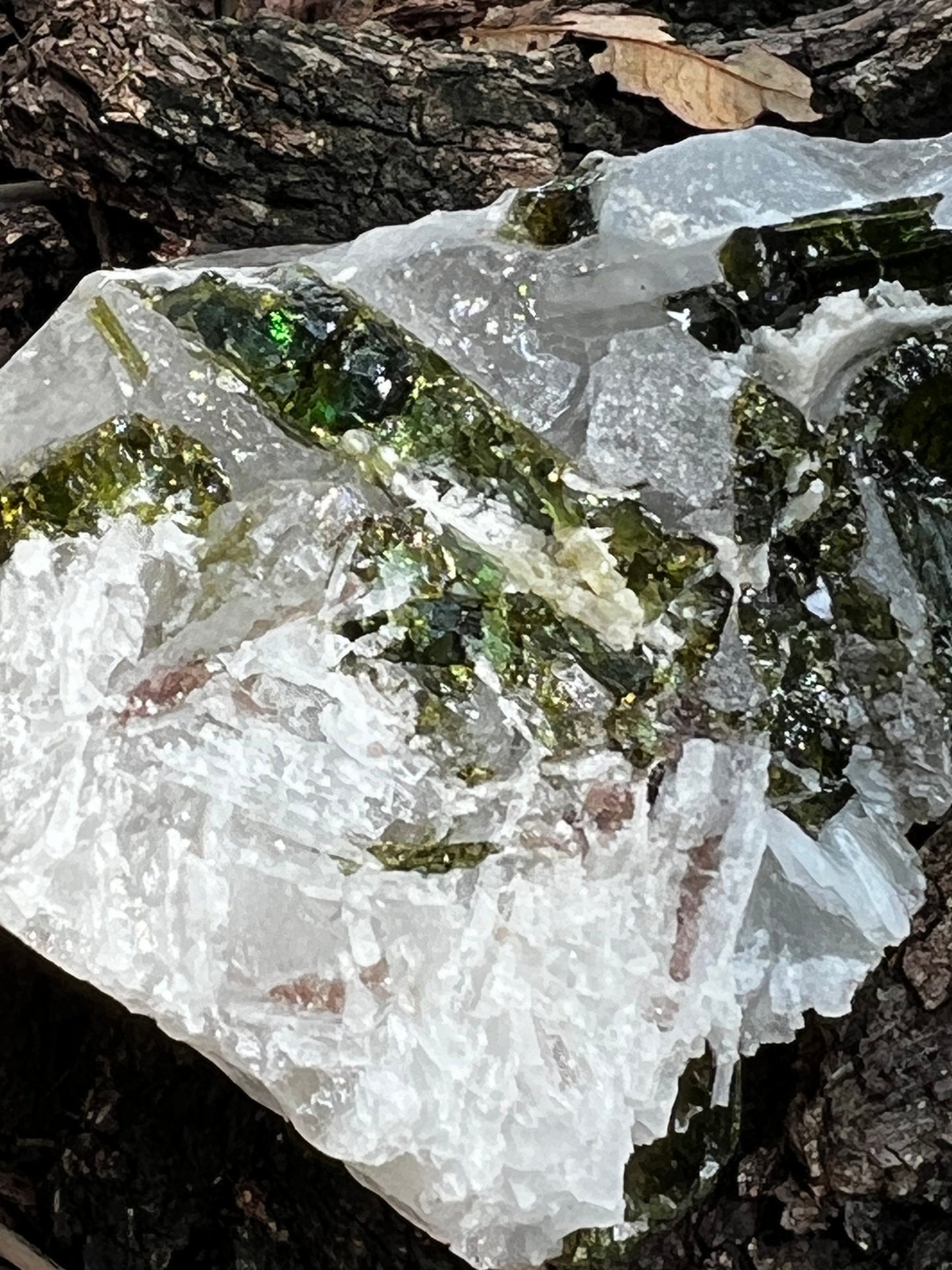 Gorgeous Green Tourmaline sparkly fairy bed, high vibration crystals, 2x2”