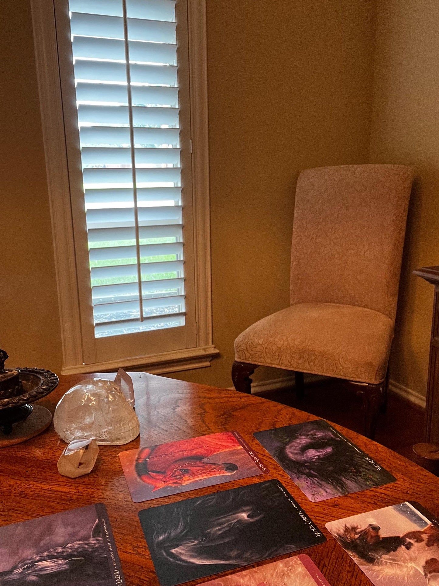 Channeled Reading and Guidance (email or phone, 20 mins)