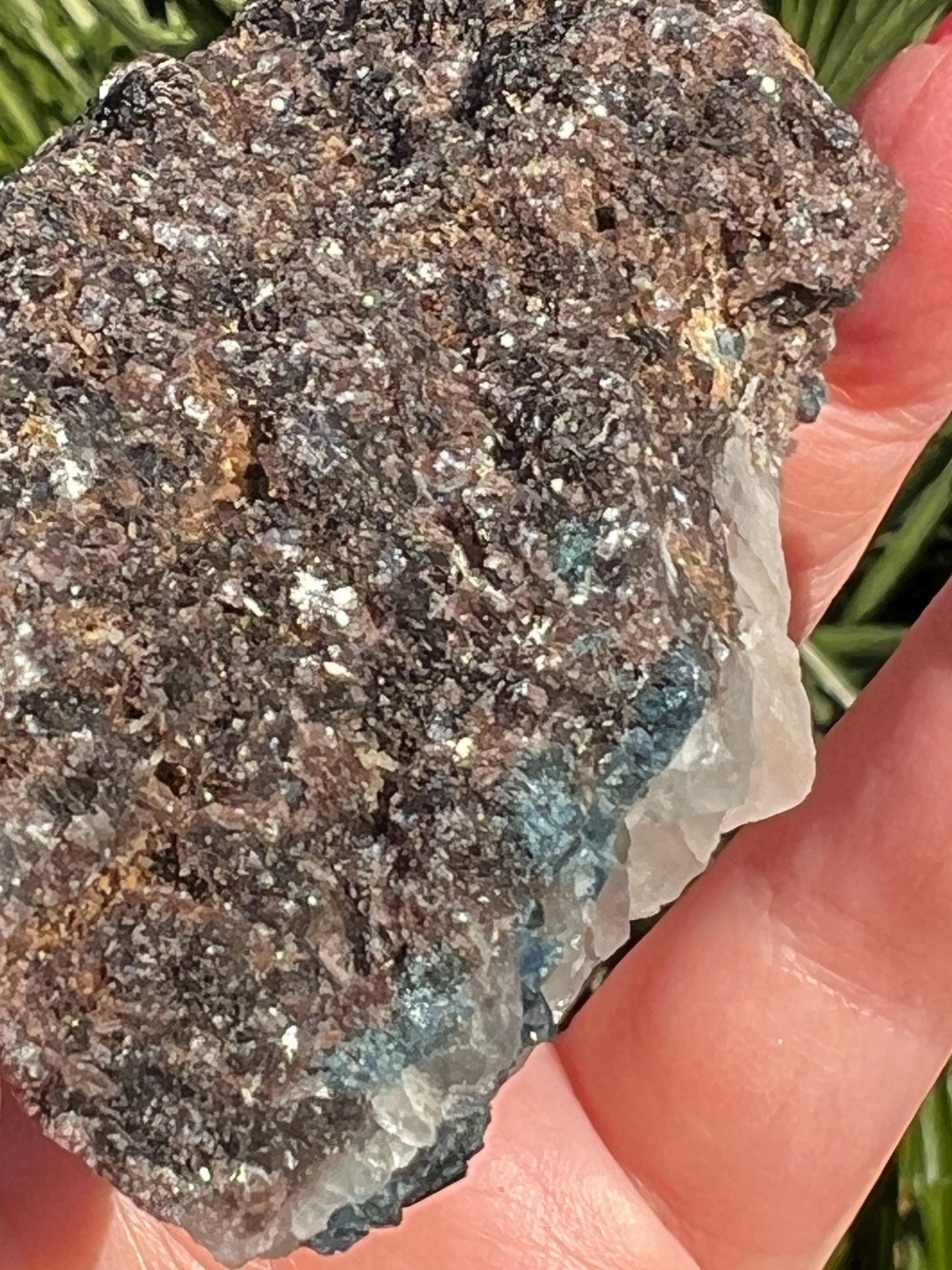 Blue/Green Tourmaline in Quartz black tourmaline, stunning raw altar piece, high vibration crystals, 3.5”