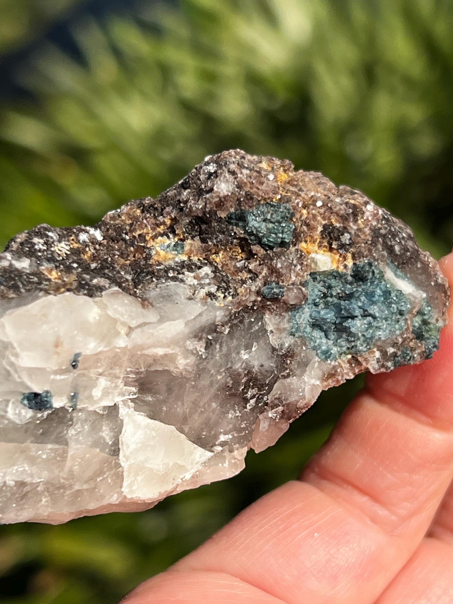 Blue/Green Tourmaline in Quartz black tourmaline, stunning raw altar piece, high vibration crystals, 3.5”