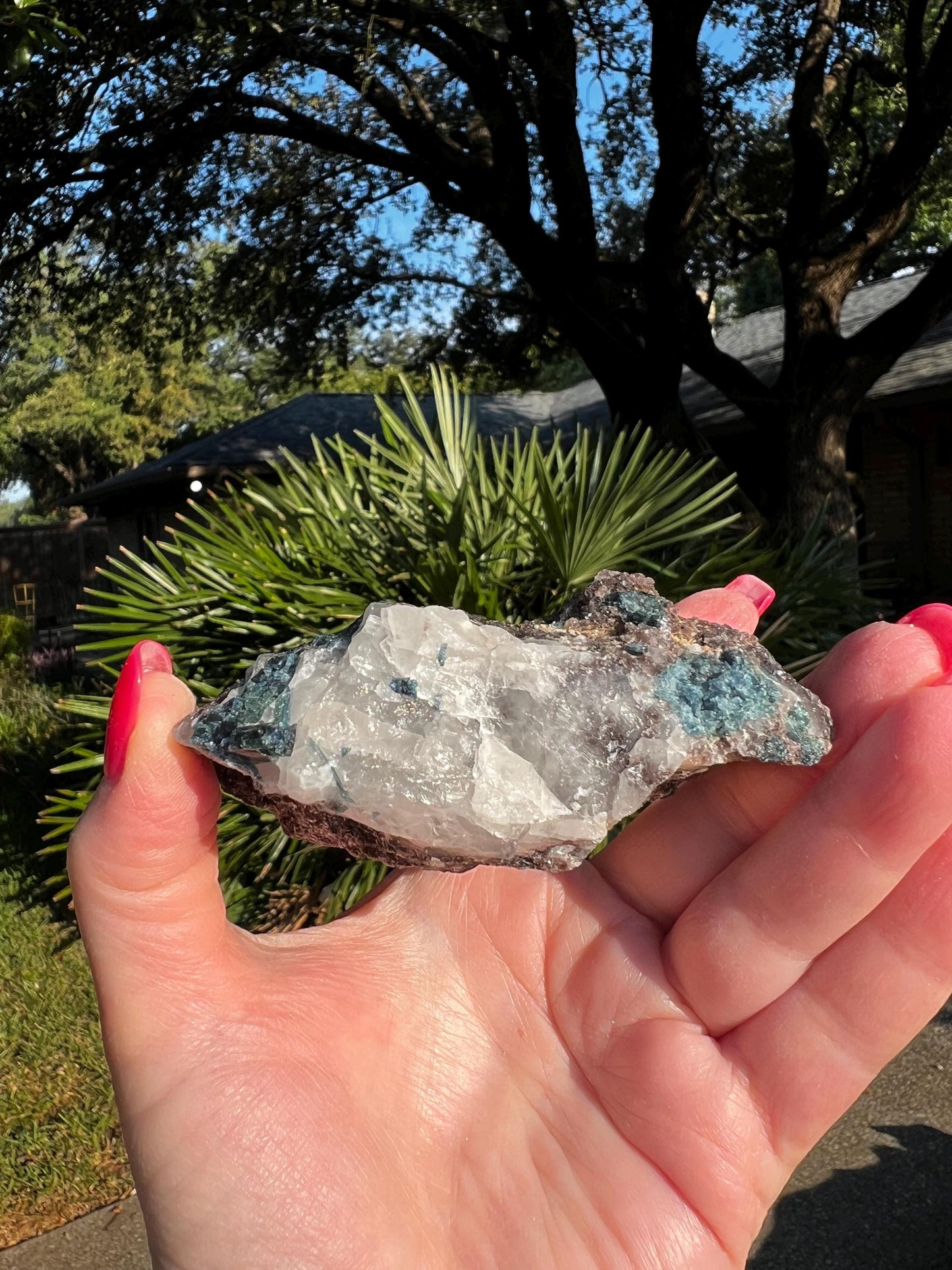 Blue/Green Tourmaline in Quartz black tourmaline, stunning raw altar piece, high vibration crystals, 3.5”