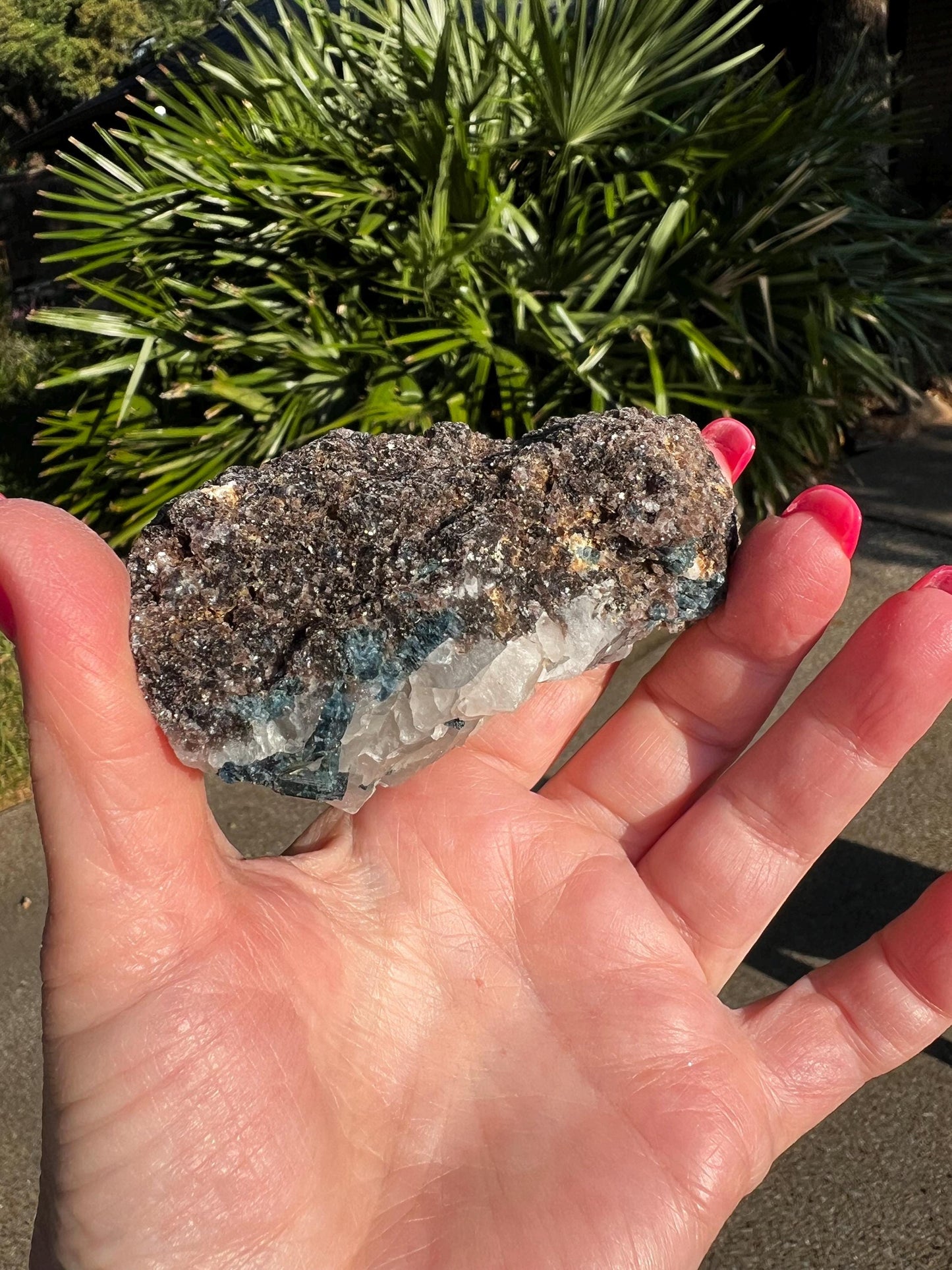 Blue/Green Tourmaline in Quartz black tourmaline, stunning raw altar piece, high vibration crystals, 3.5”