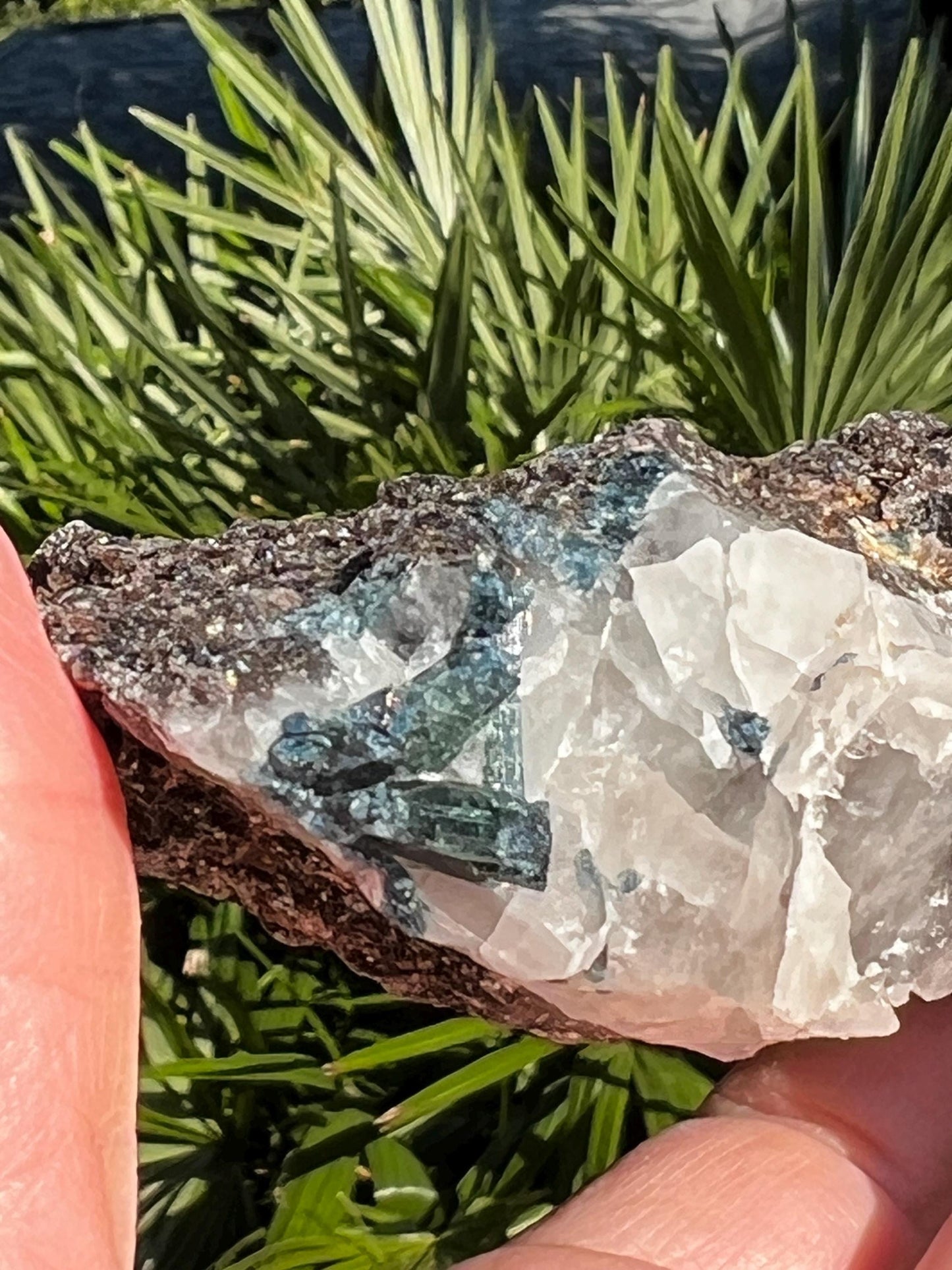 Blue/Green Tourmaline in Quartz black tourmaline, stunning raw altar piece, high vibration crystals, 3.5”