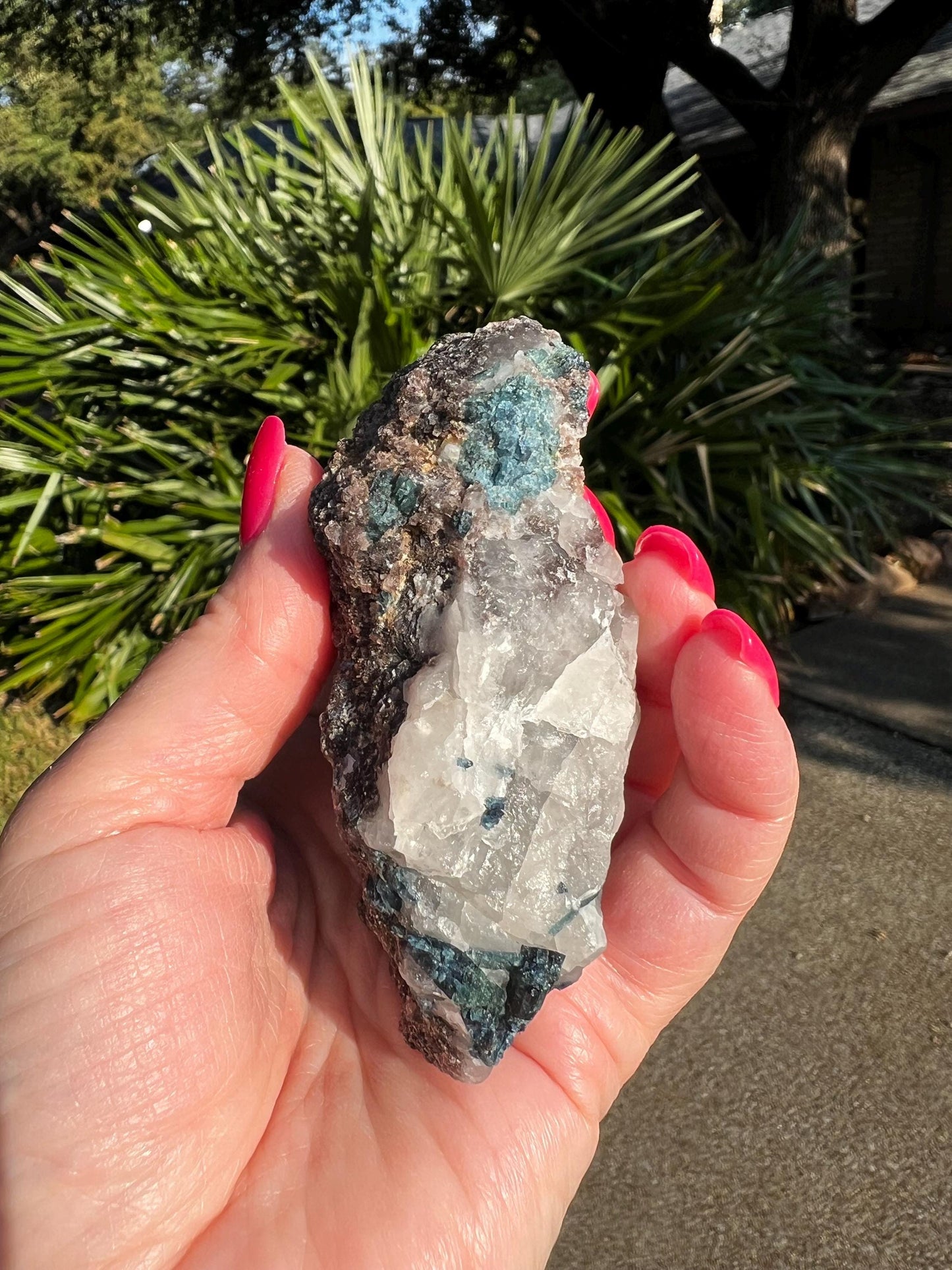 Blue/Green Tourmaline in Quartz black tourmaline, stunning raw altar piece, high vibration crystals, 3.5”