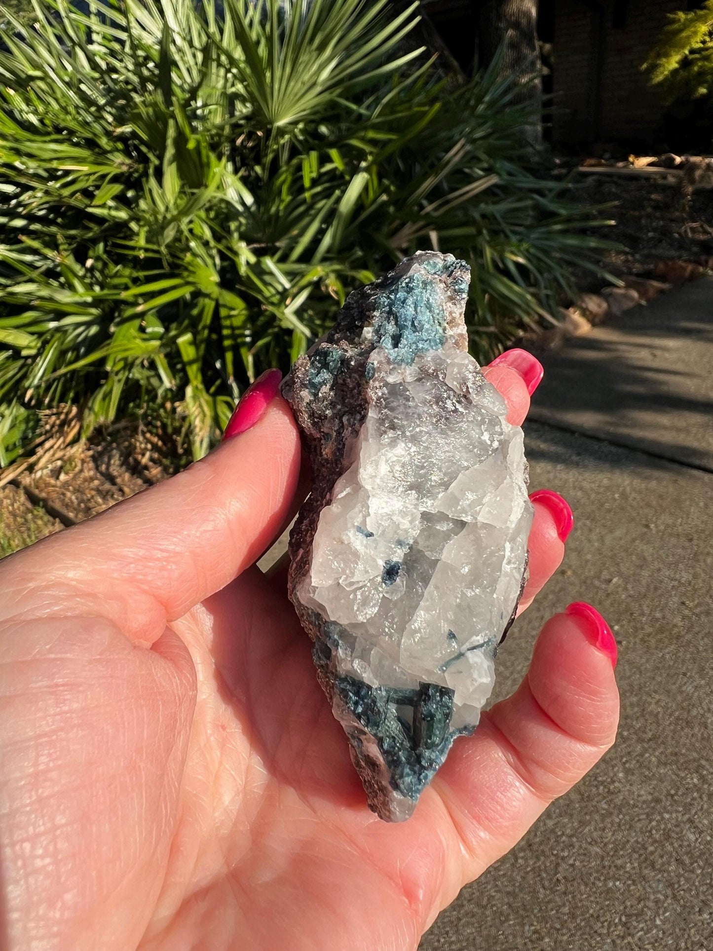 Blue/Green Tourmaline in Quartz black tourmaline, stunning raw altar piece, high vibration crystals, 3.5”