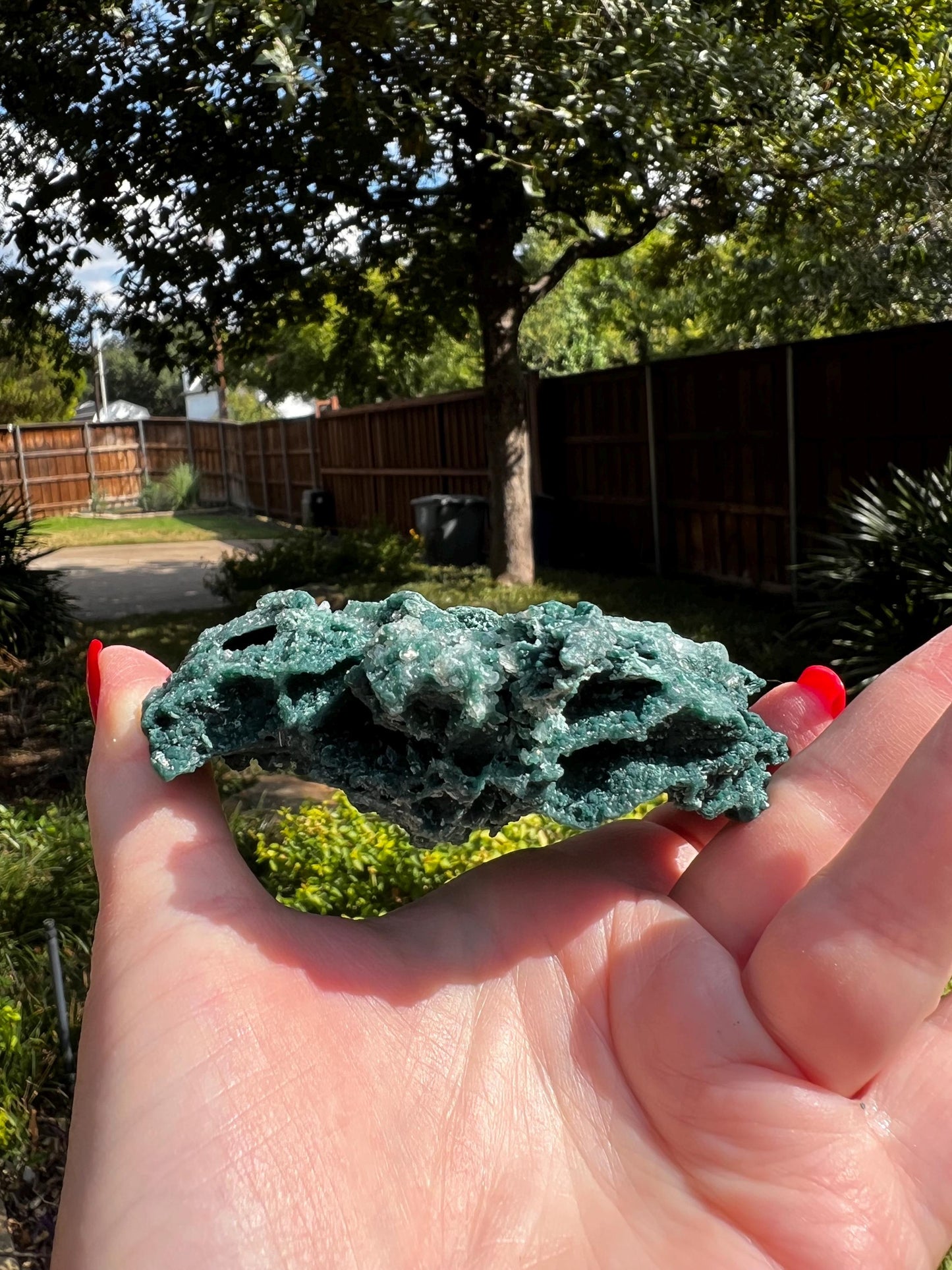 Marshy Apophyllite Fairy Bed with sparkle, celadonite, new, 4”, high vibration crystals, gifts, altar