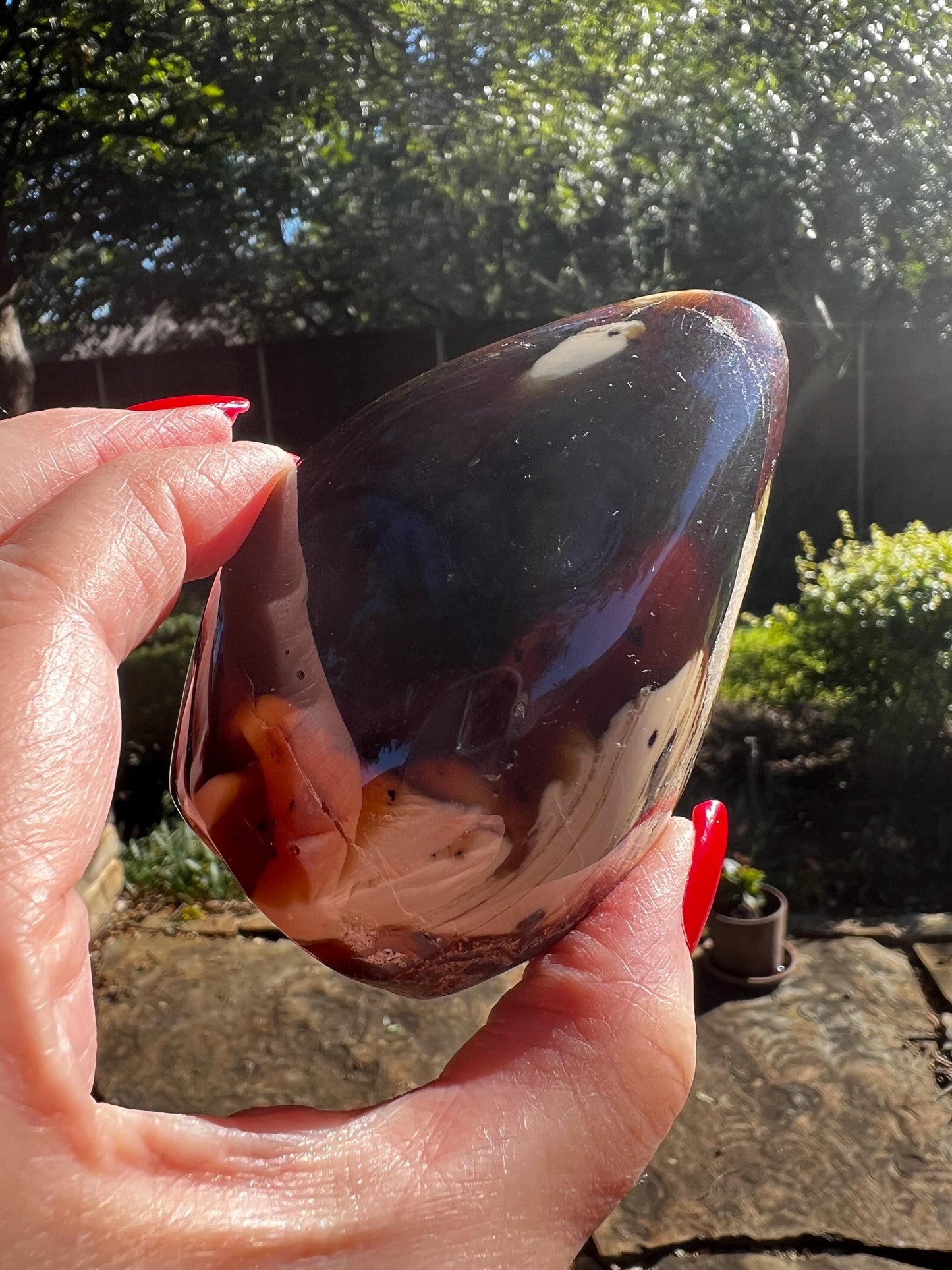 Polished authentic amber shield, New, altar, gift, high vibration crystals, natural, crystal healing, 3.5”