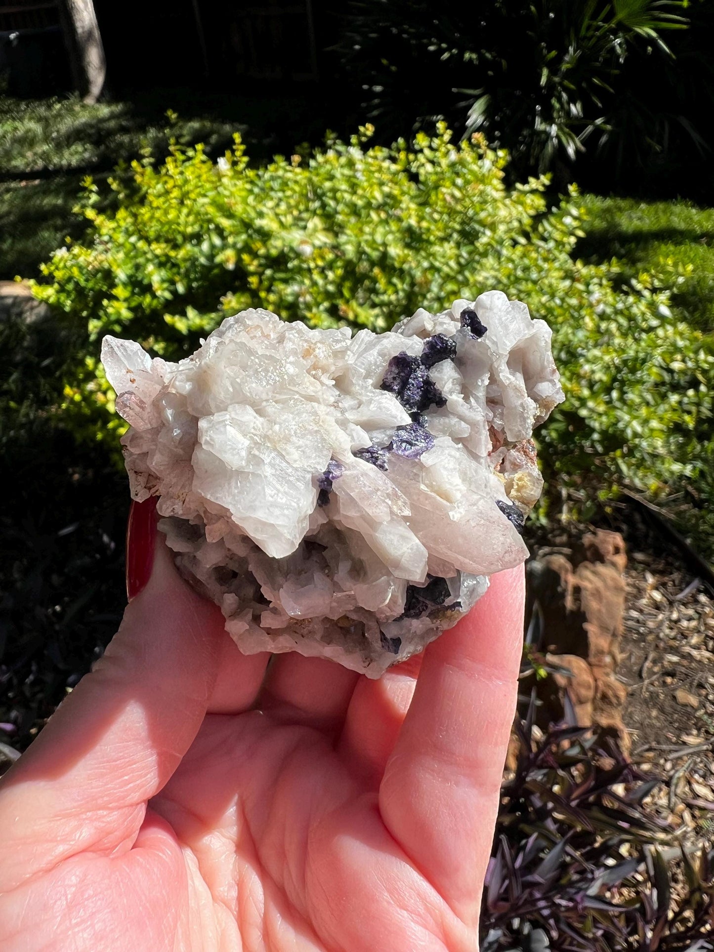 Purple Fluorite Jewels on Quartz, Rare, Premium crystals, 2.5”