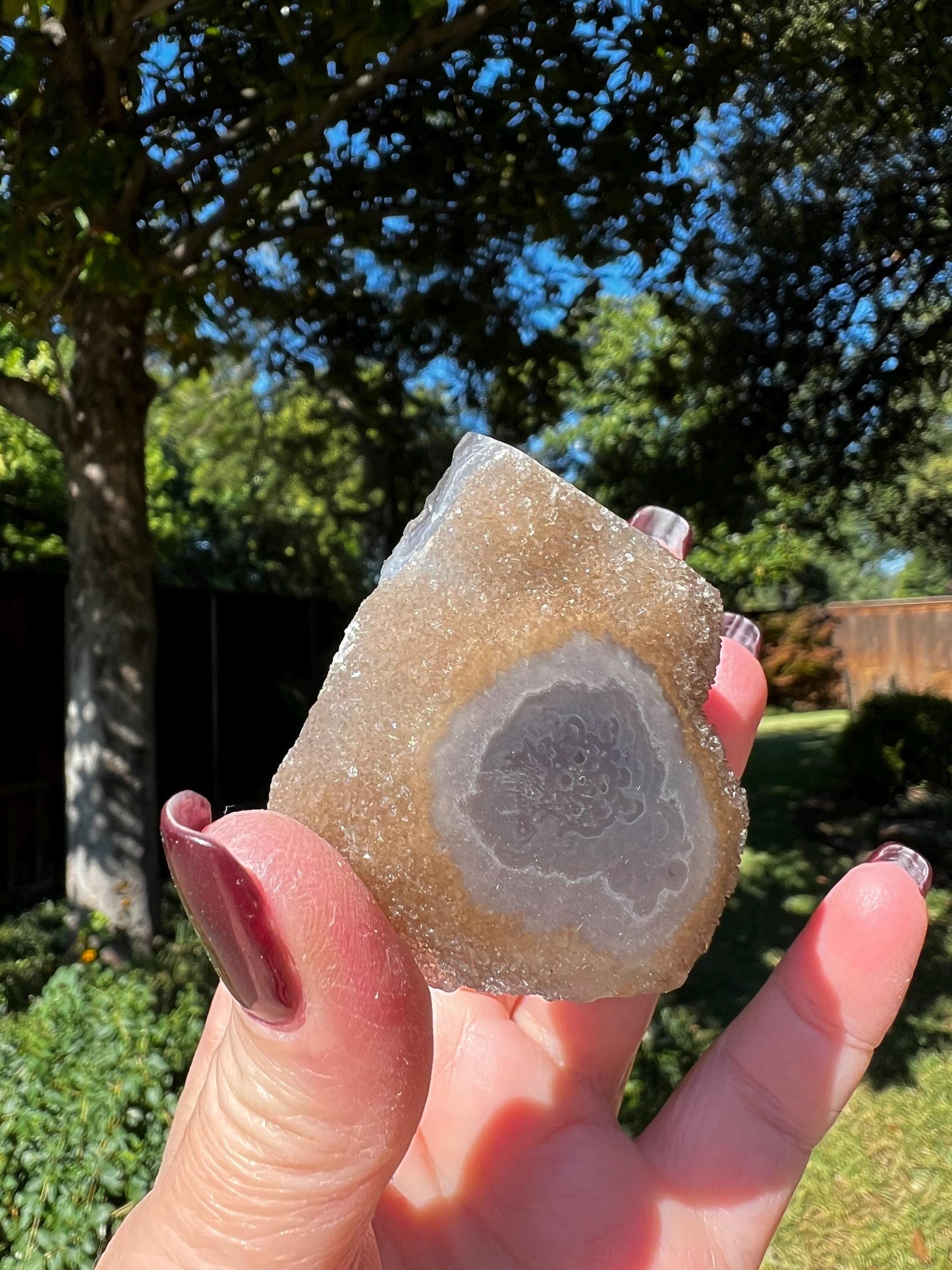 Brown Galaxy Stalactite Eye Amethyst Bed, 2”, altar, gift, crystals, high vibration crystals