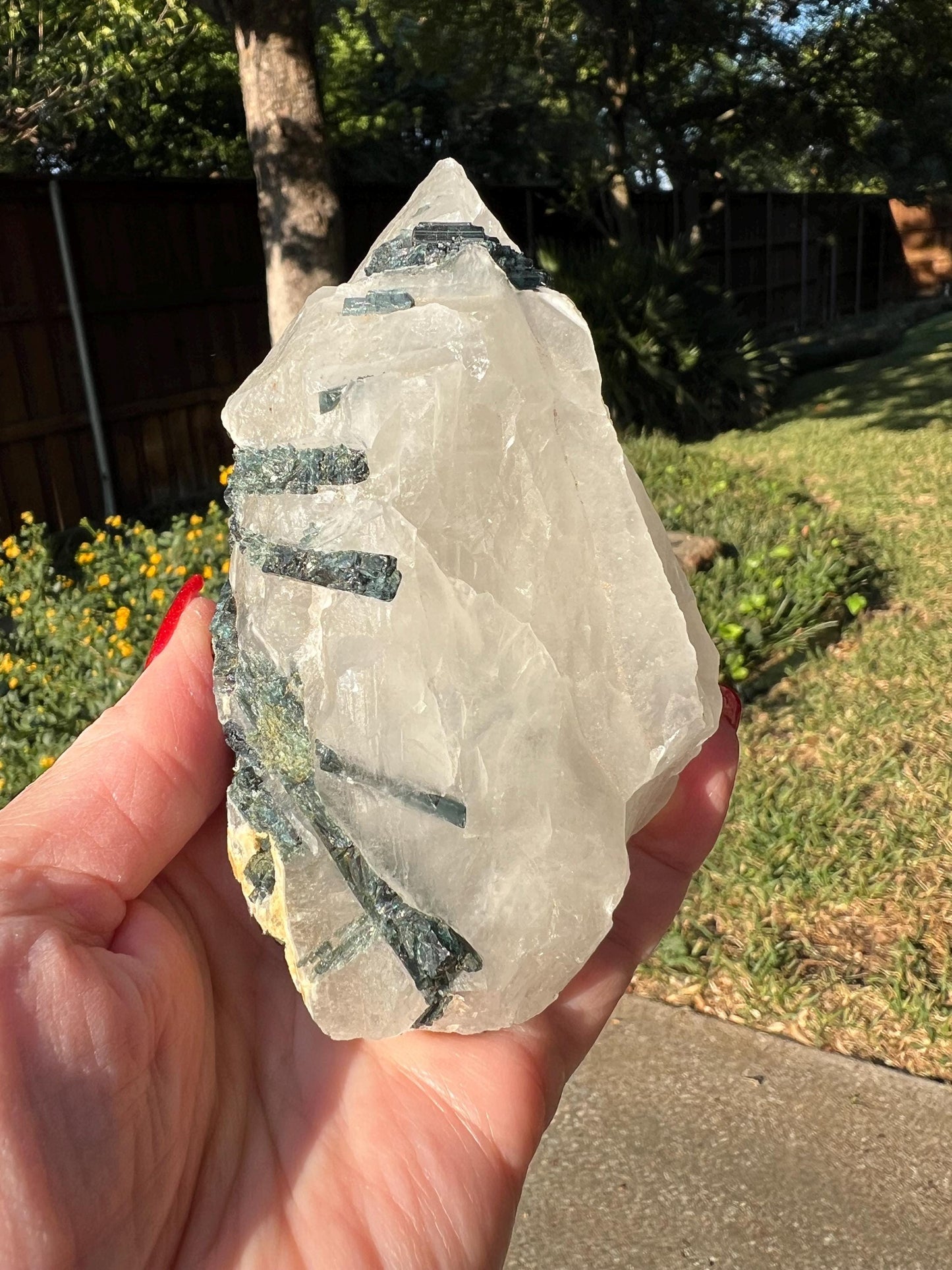 Large Green Tourmaline in Quartz with gorgeous rod crust, stunning raw altar piece 13.5 oz, high vibration crystals, 4”