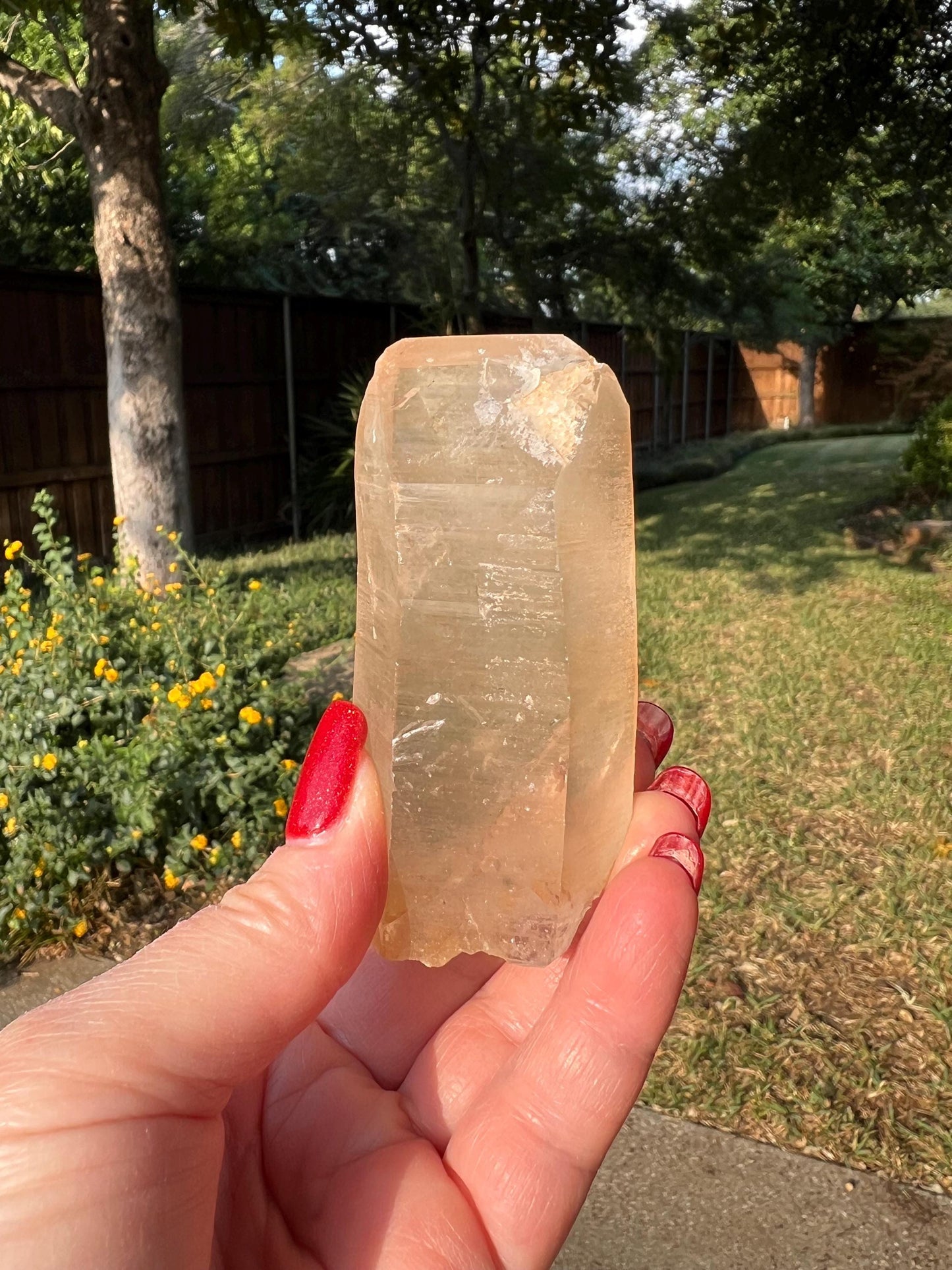 Rare Gold Lemurian, new, high quality, 3.25”, crystal healing, gift