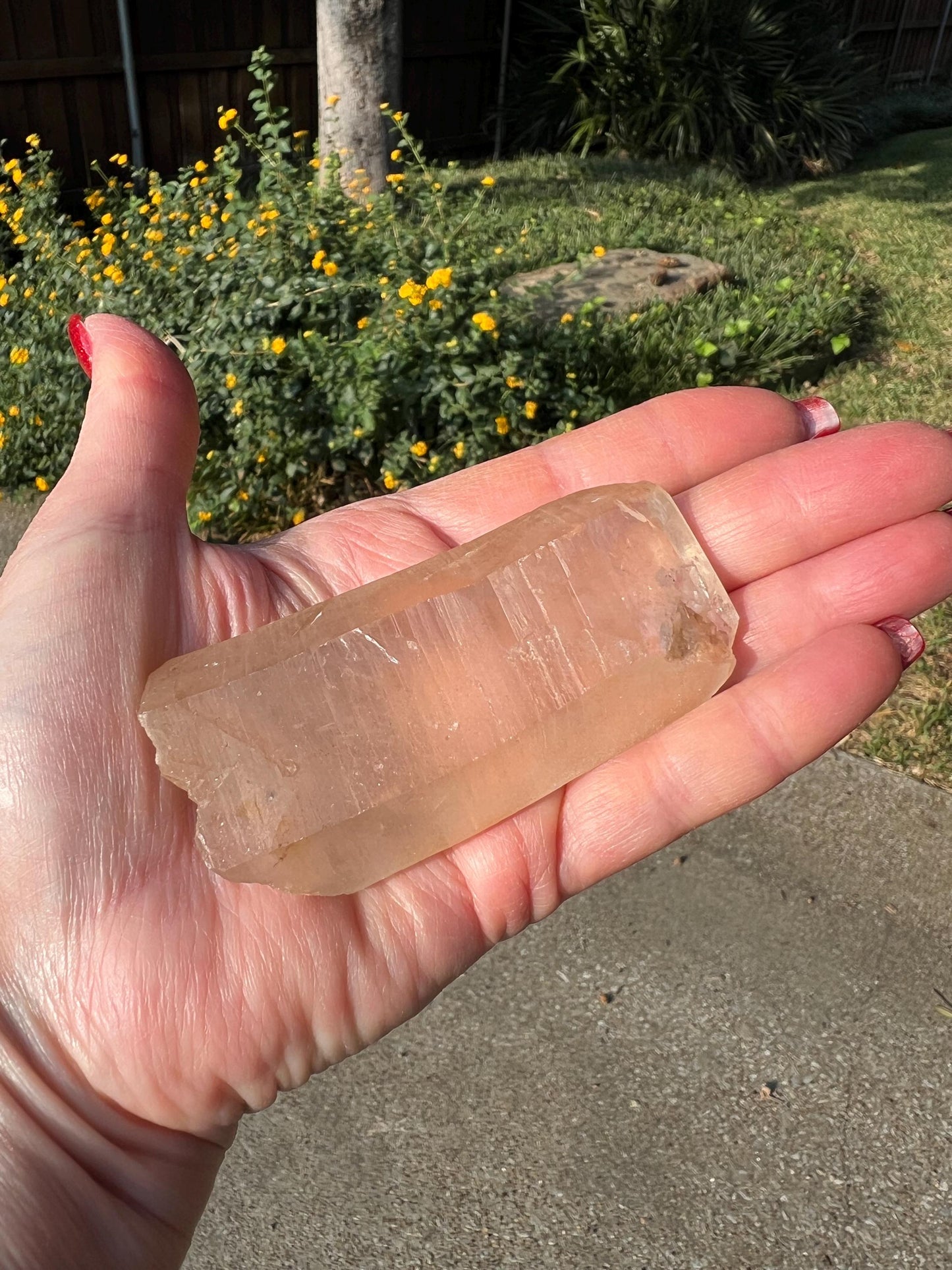 Rare Gold Lemurian, new, high quality, 3.25”, crystal healing, gift